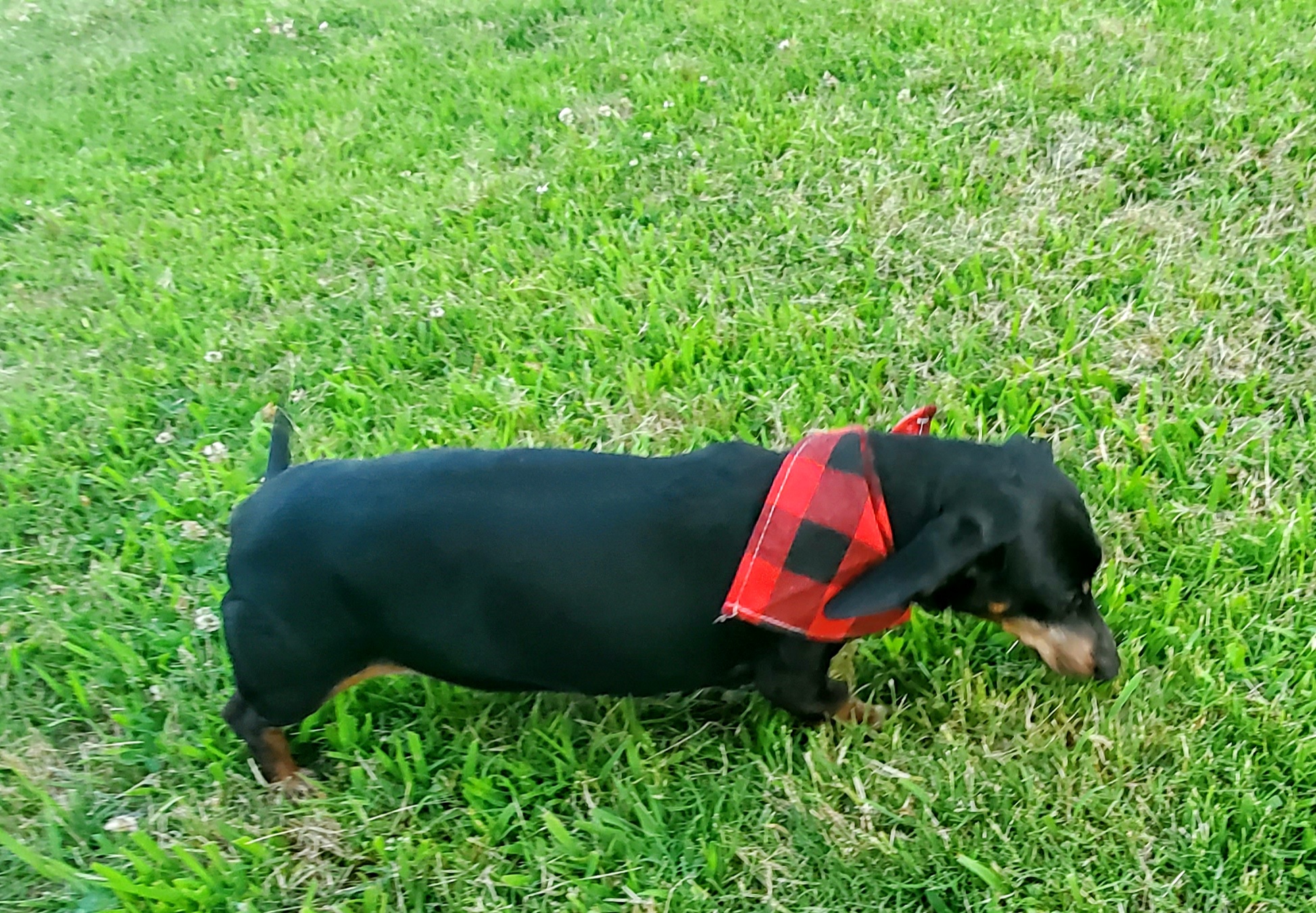 Camden Animal Clinic Camden