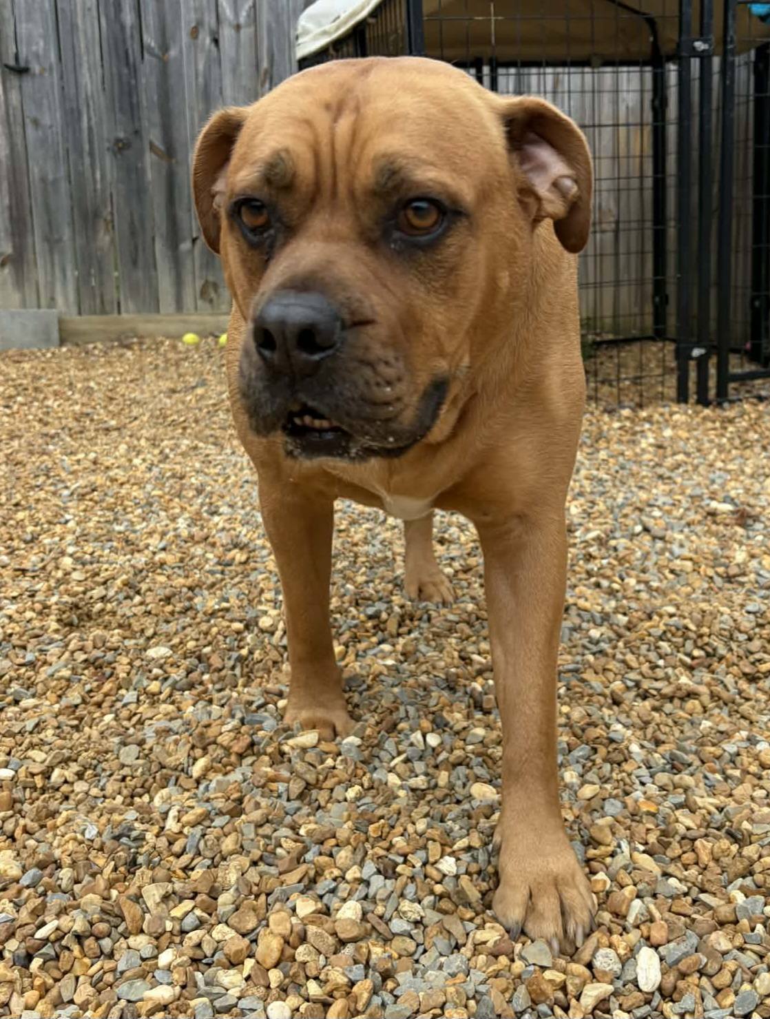 The Ranch at Bonny Oaks Chattanooga