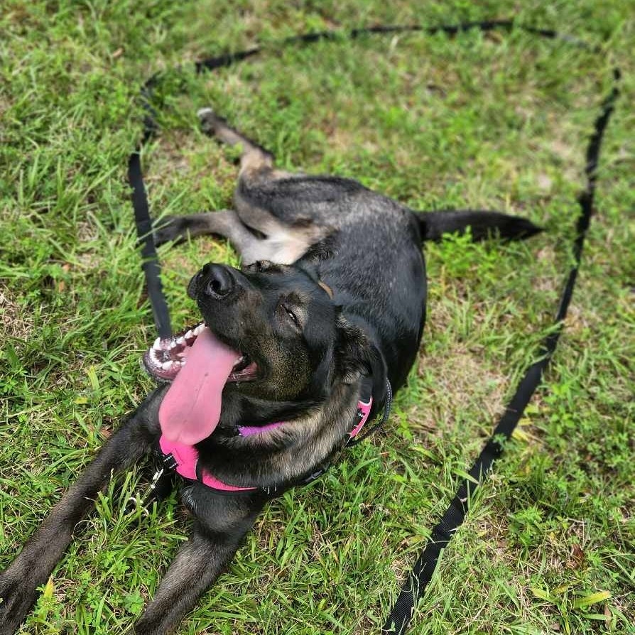 Trooper's Treasures Chattanooga