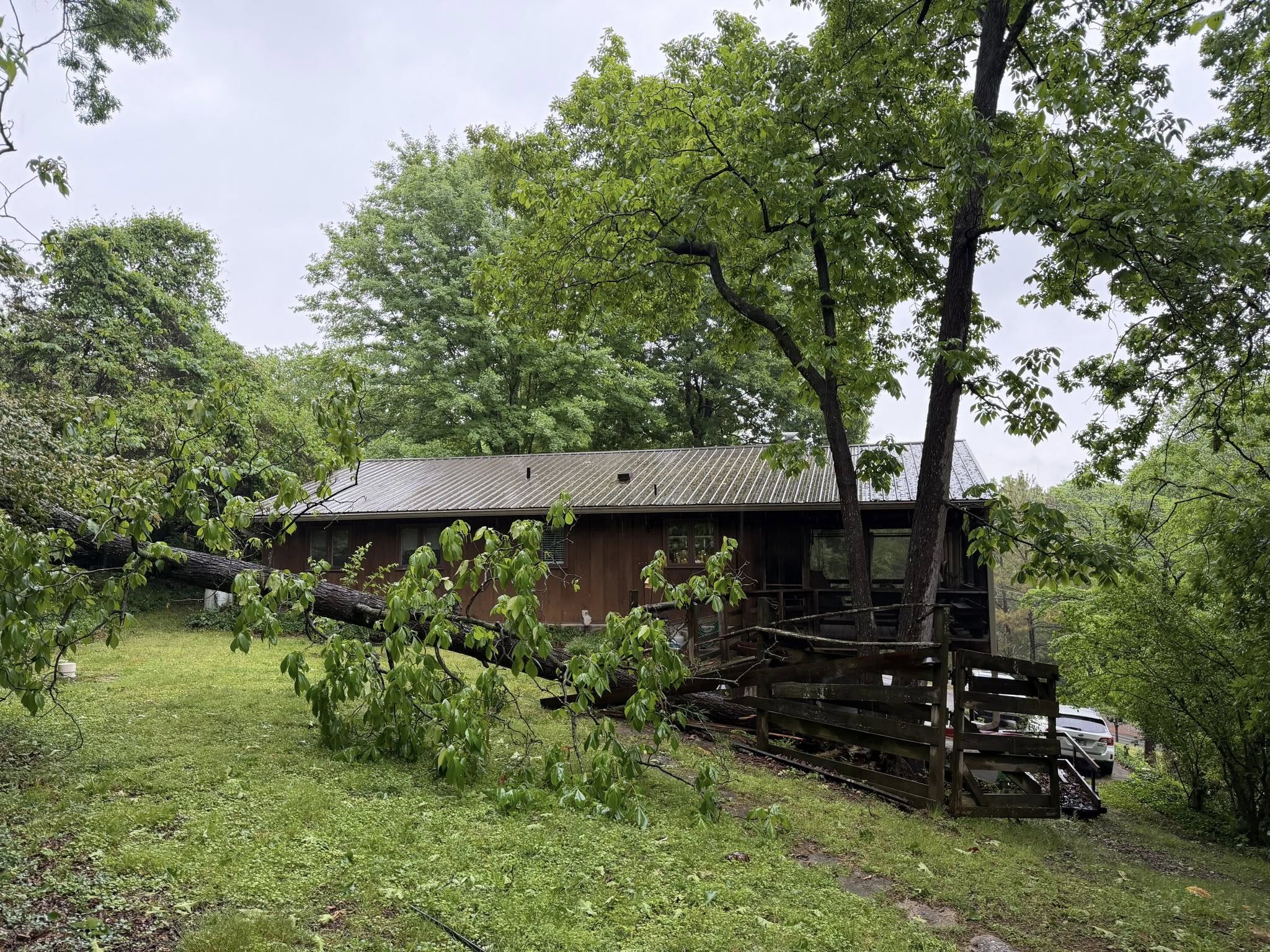 Wysong Tree Works