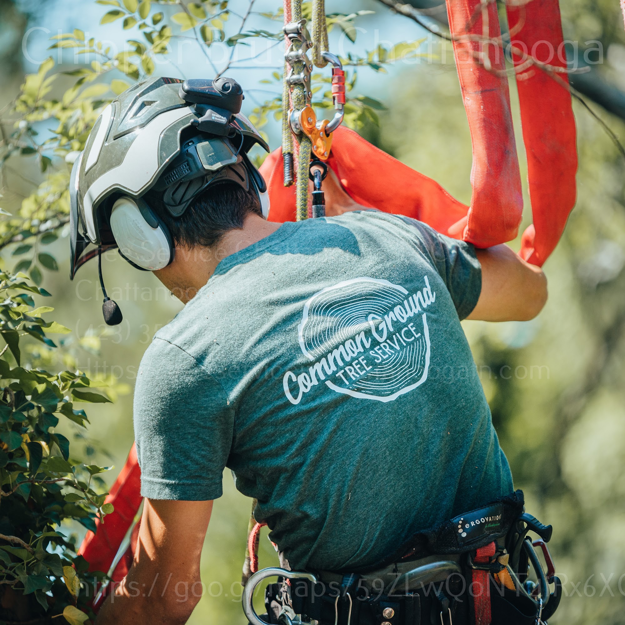 Common Ground Chattanooga Tree Service