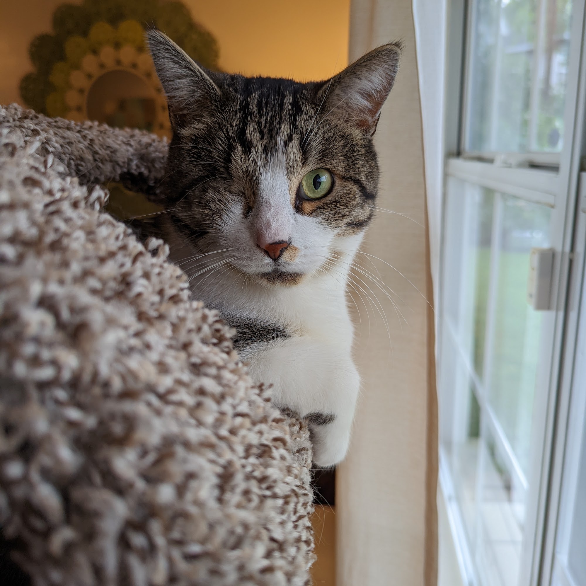 Anderson Veterinary Clinic Christiana