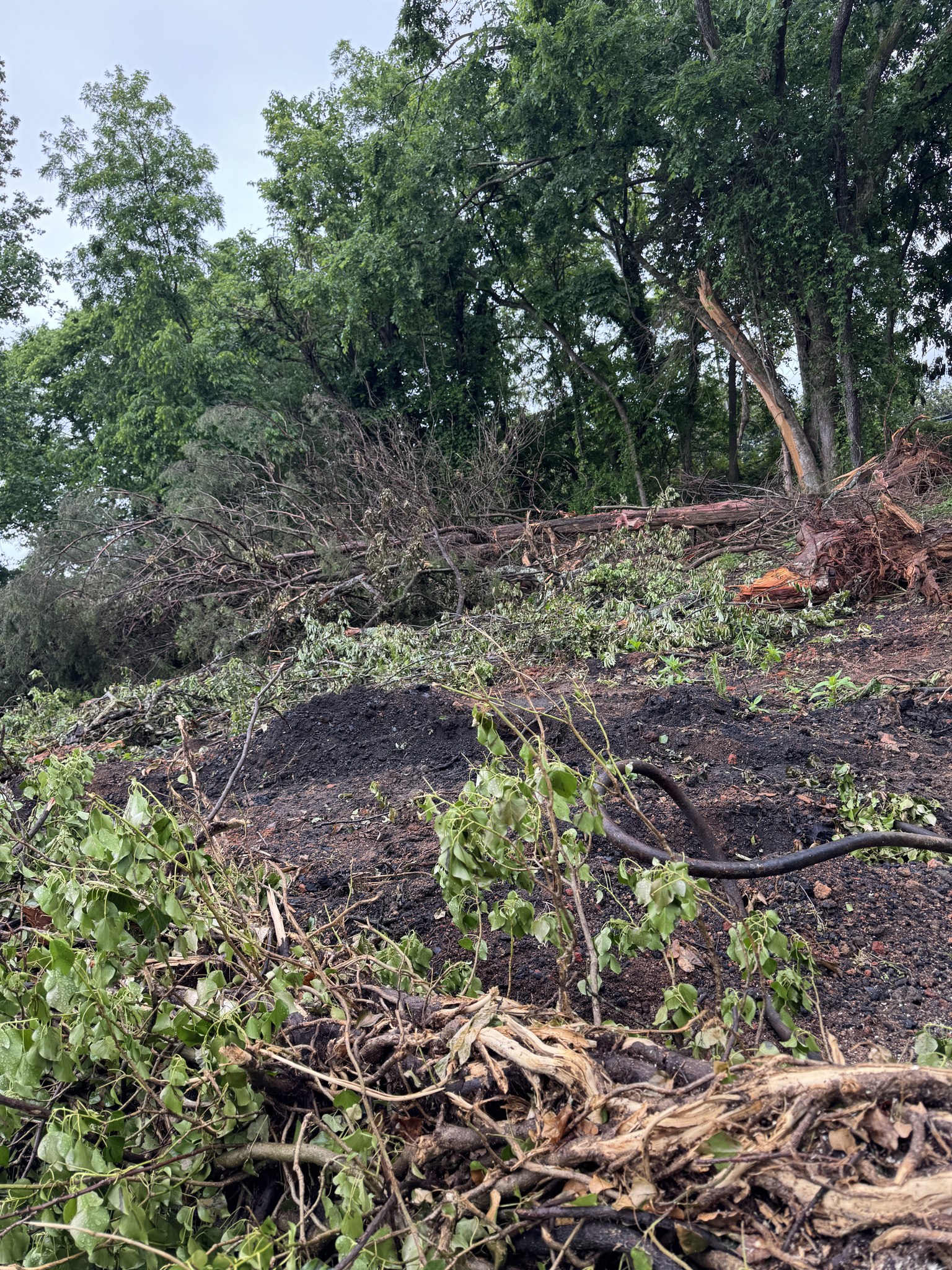 Mountain View Excavating