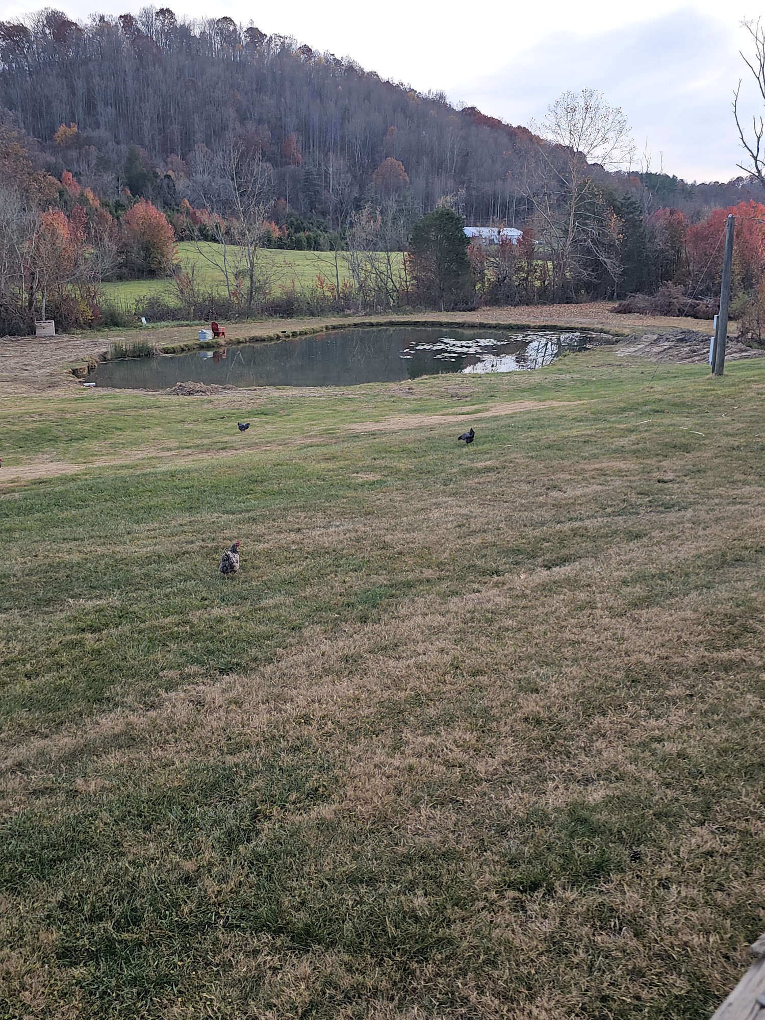 Tennessee Taekwondo Judo Center