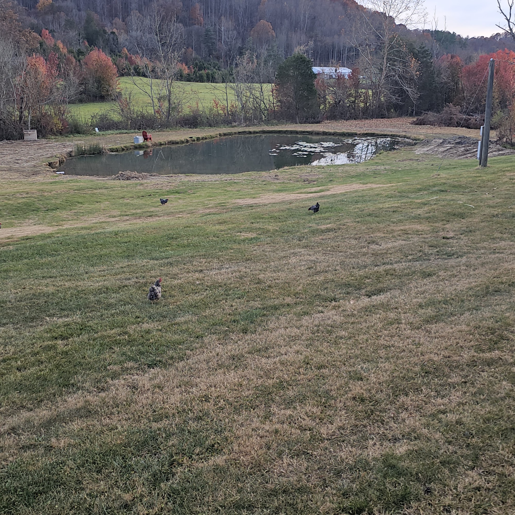 Tennessee Taekwondo Judo Center