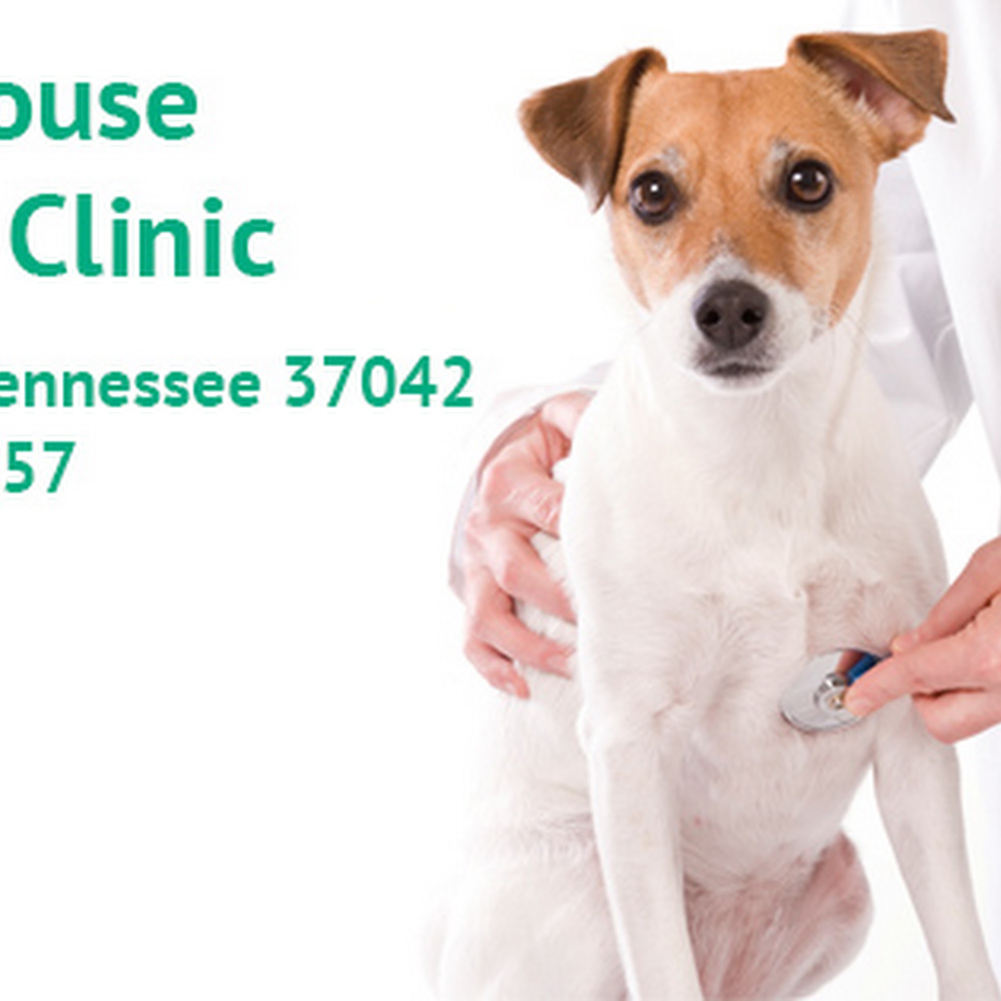 Animal House Veterinary Clinic Clarksville