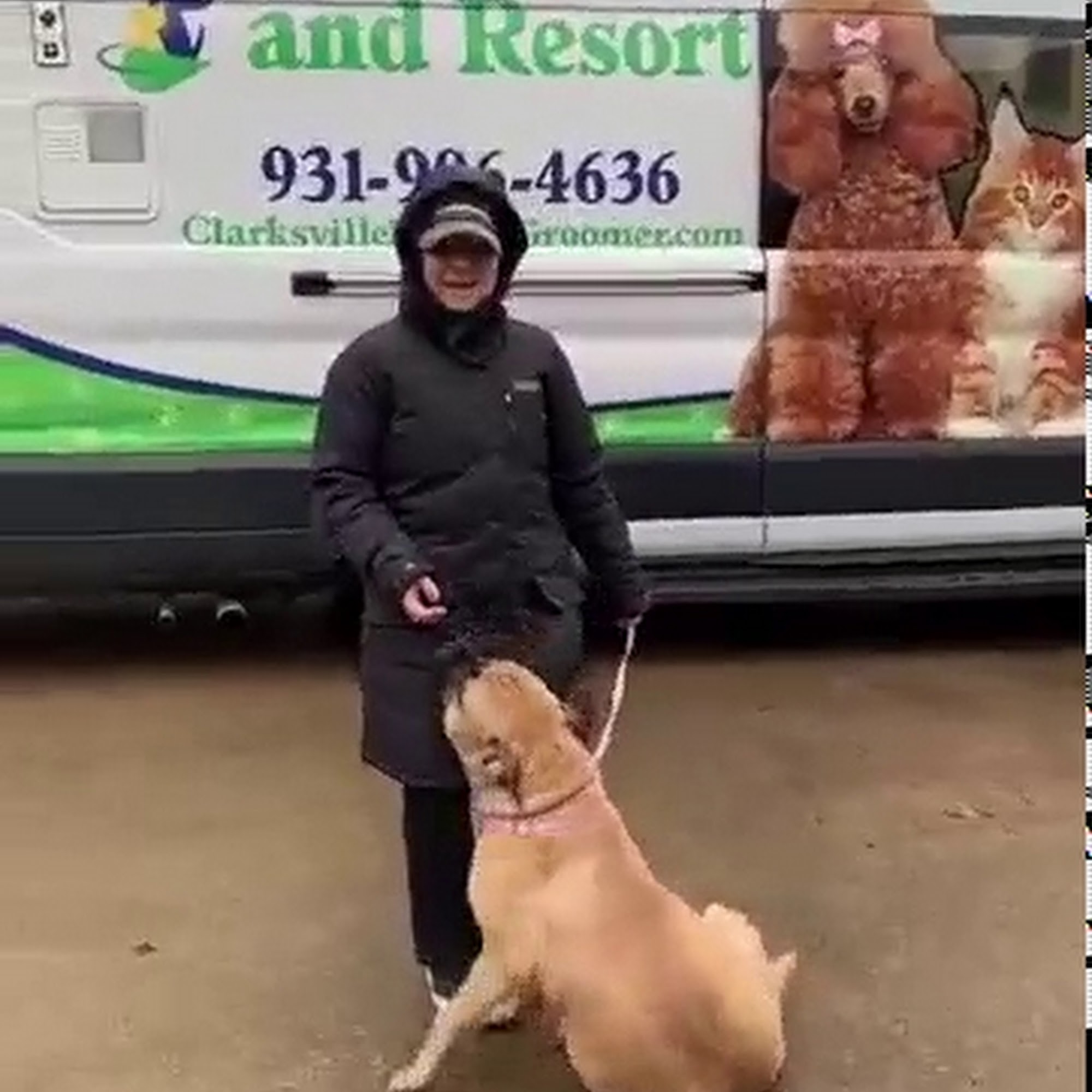 Alicia's K9 & Feline Fridays Mobile Dog / Cat Grooming & Boarding Clarksville