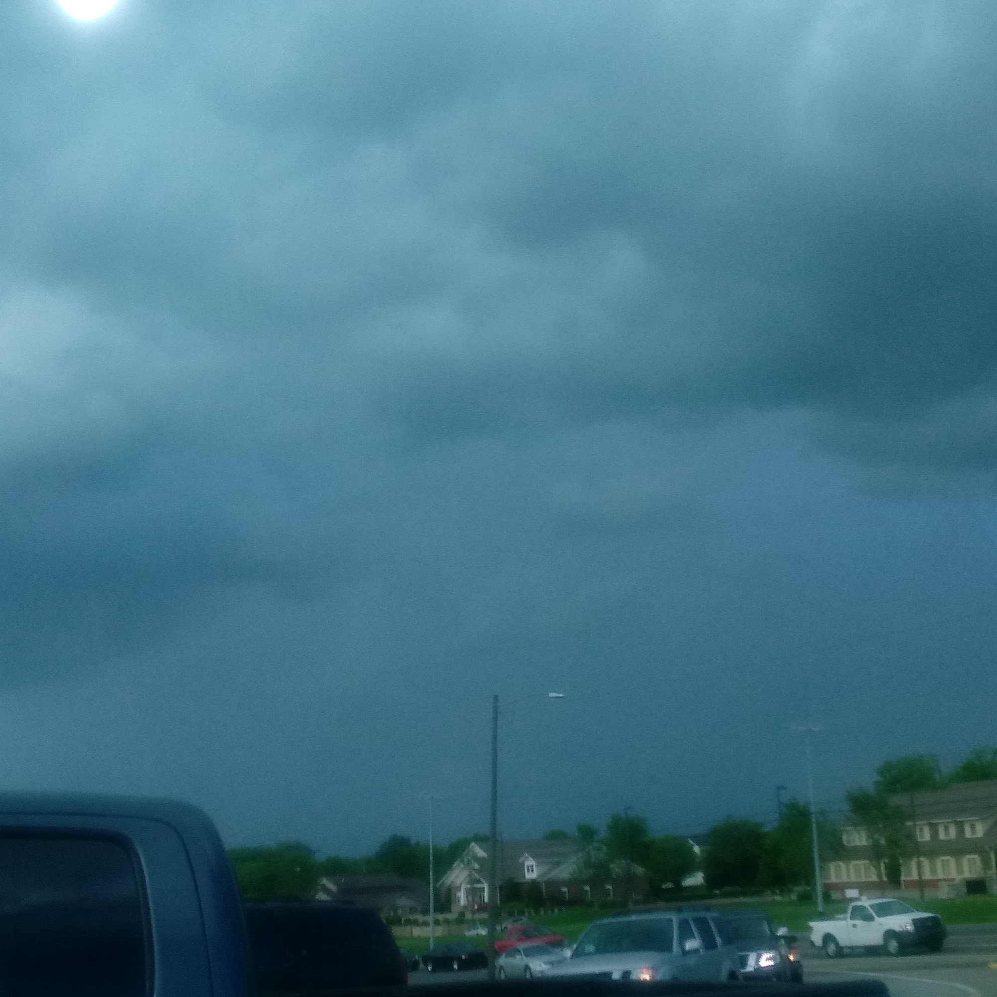 elite pet spa Clarksville