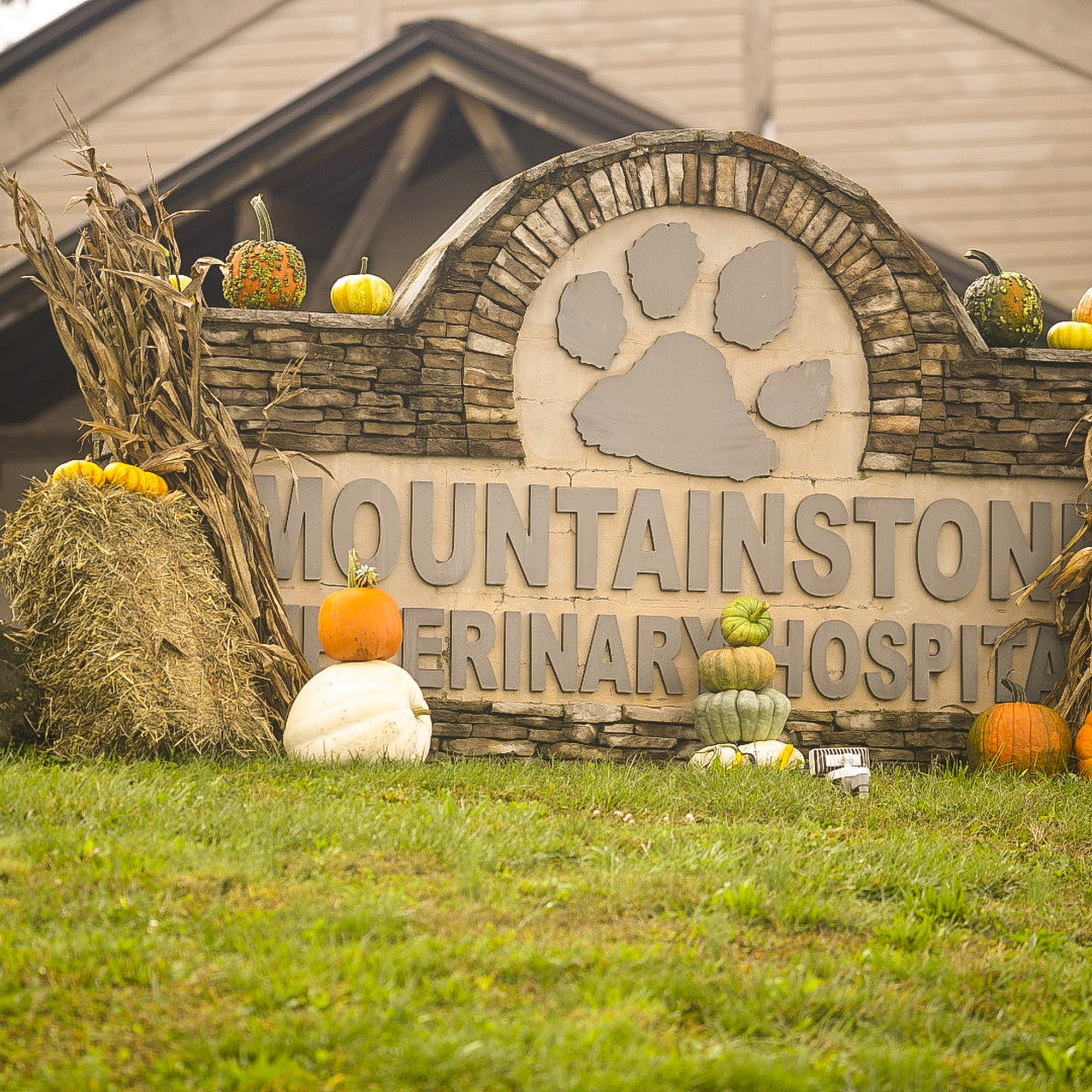 Mountainstone Veterinary Hospital Cleveland