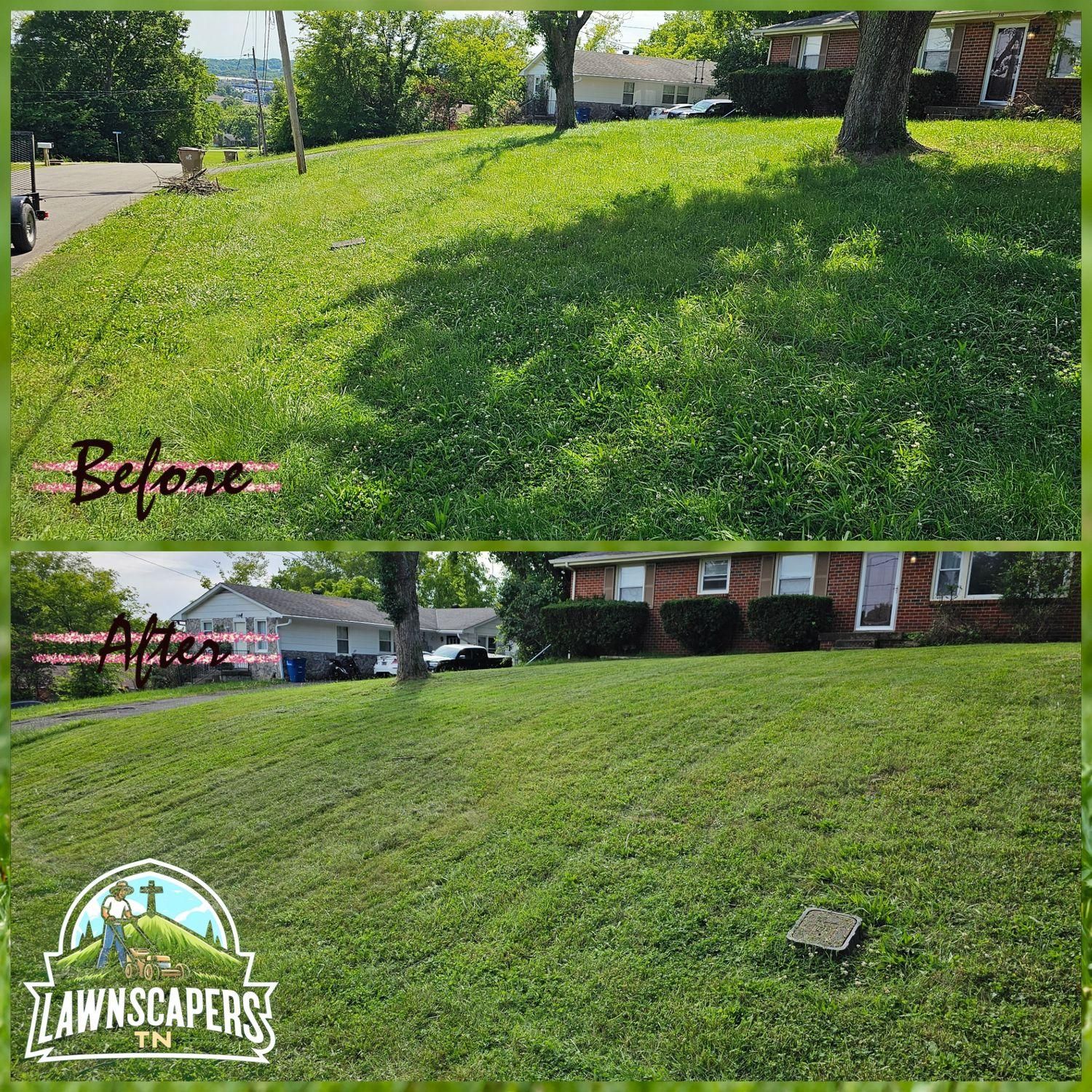 Affordable Tree Services