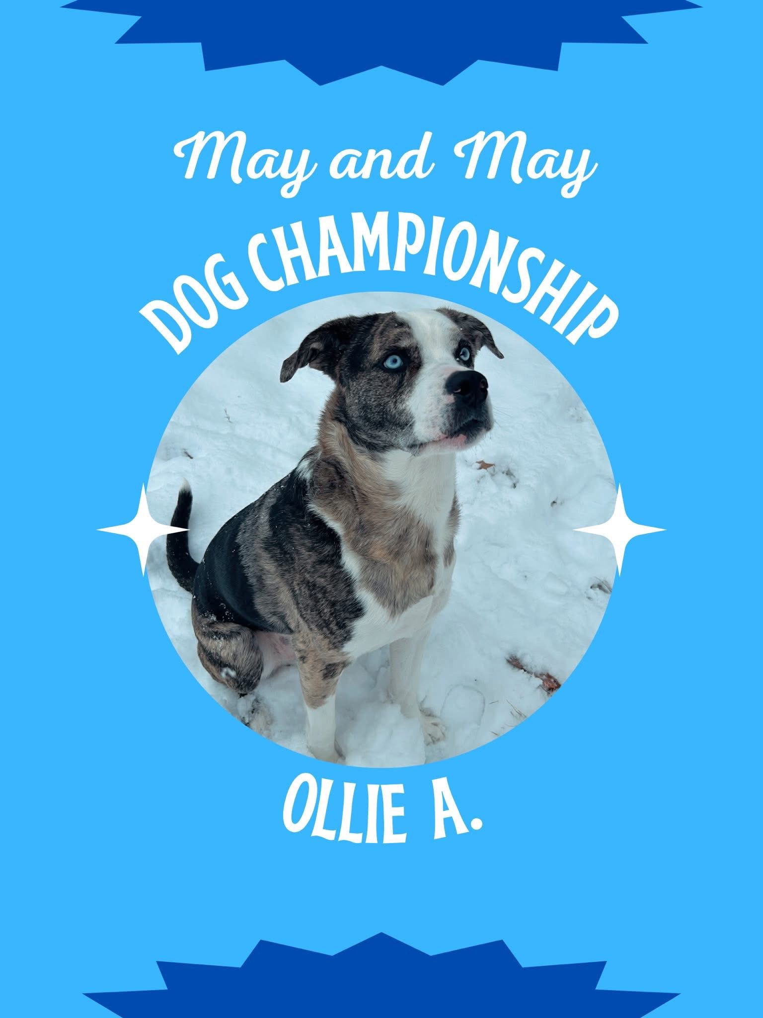 Kirksey Kate May DDS