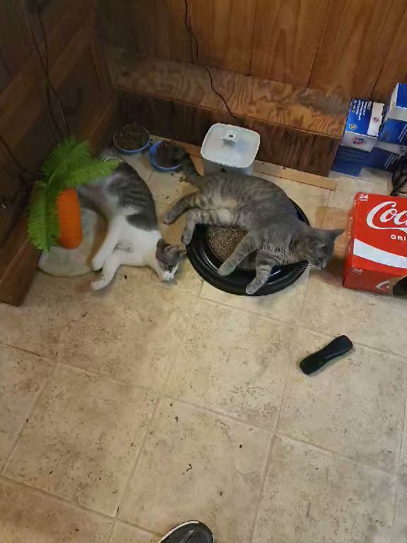 Village At Carriage Hills