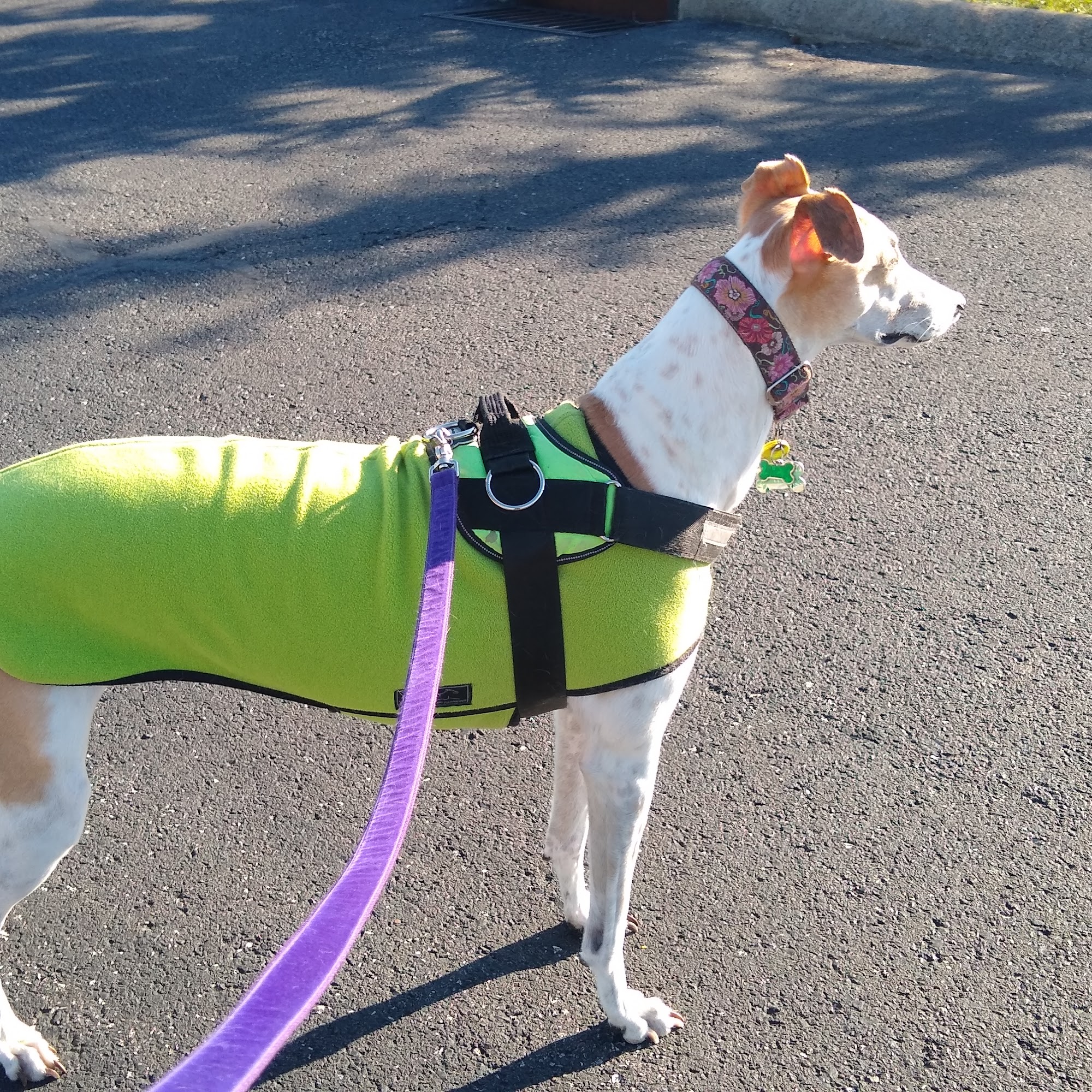 Columbia Hospital For Animals Columbia