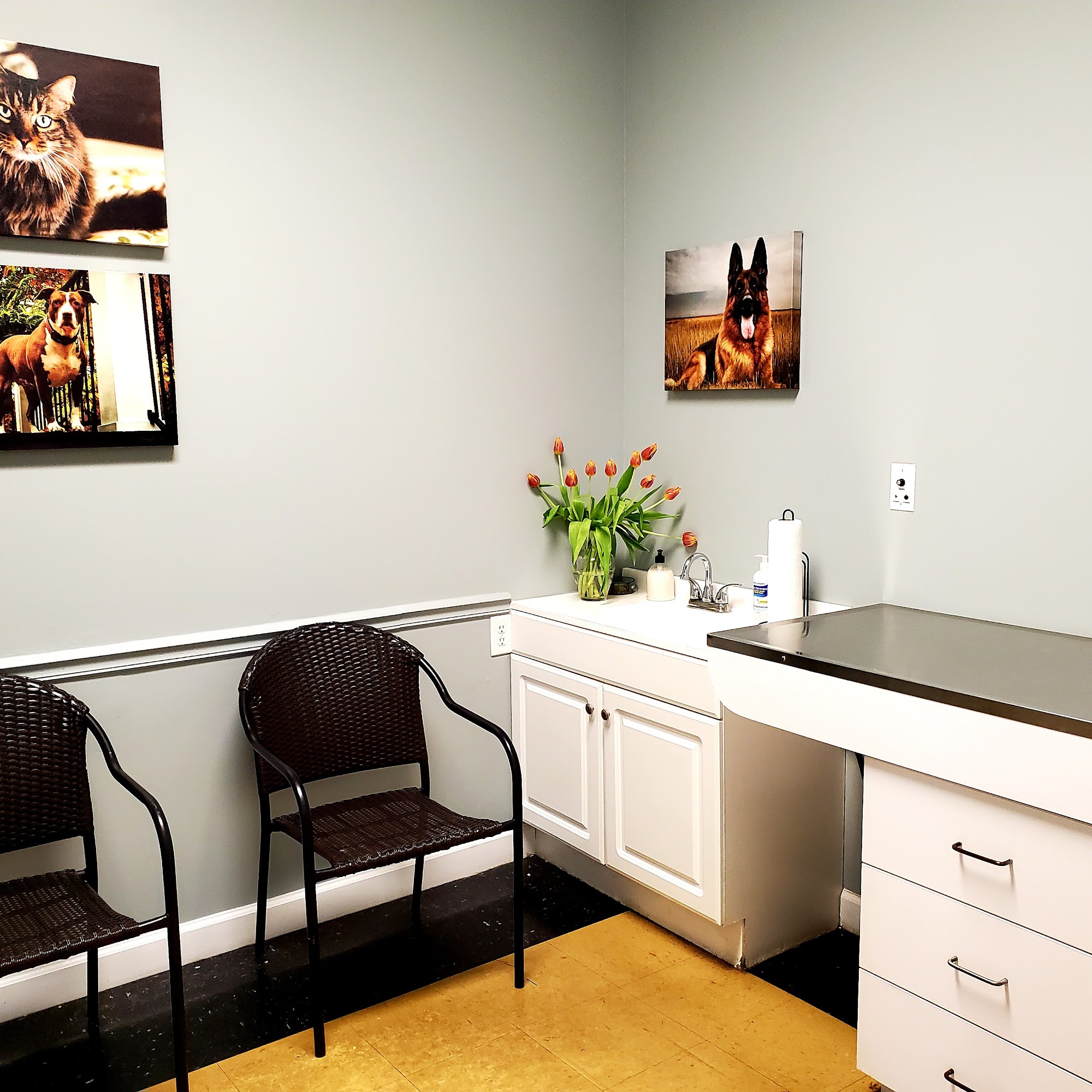 Veterinary Wellness Clinic Of Columbia Columbia