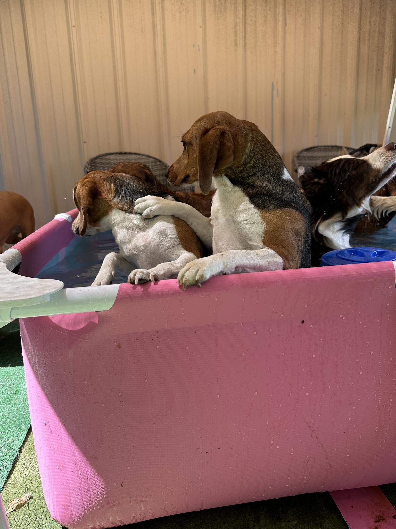 Photo credit: nextdoor