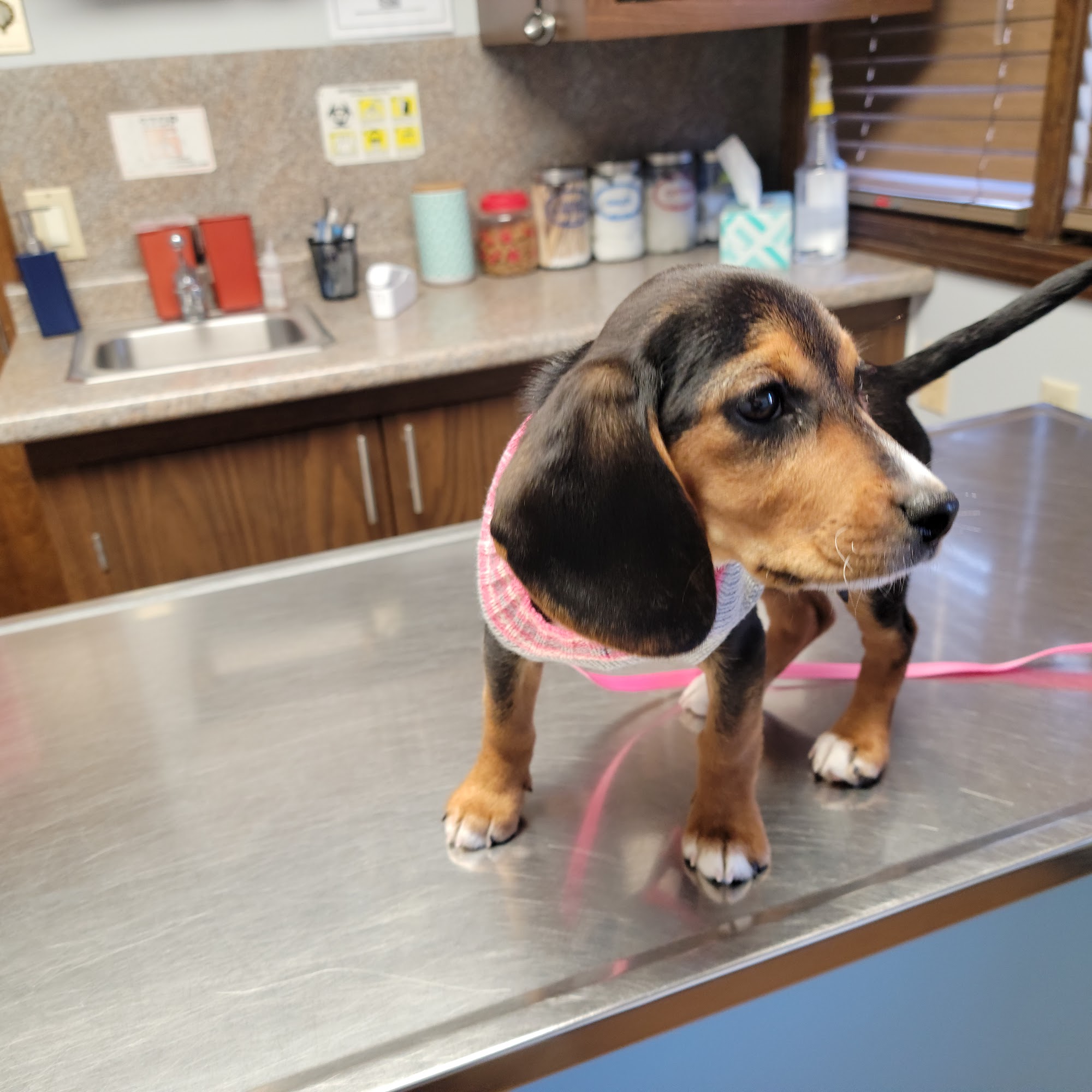 Barker Jerry DVM Cookeville