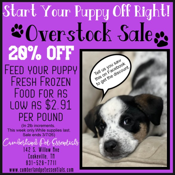 Cumberland Pet Grooming