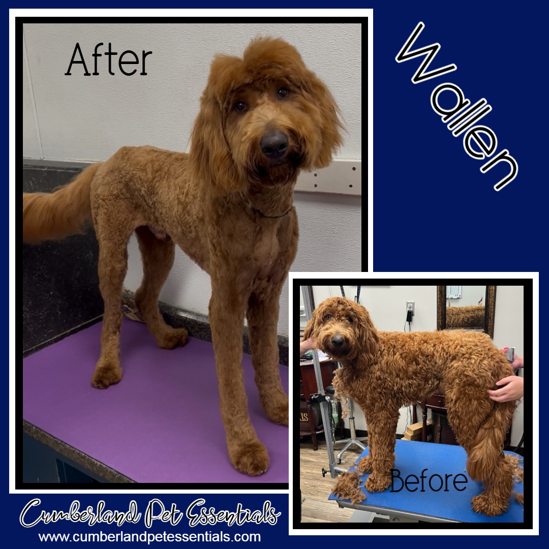 Cumberland Pet Grooming