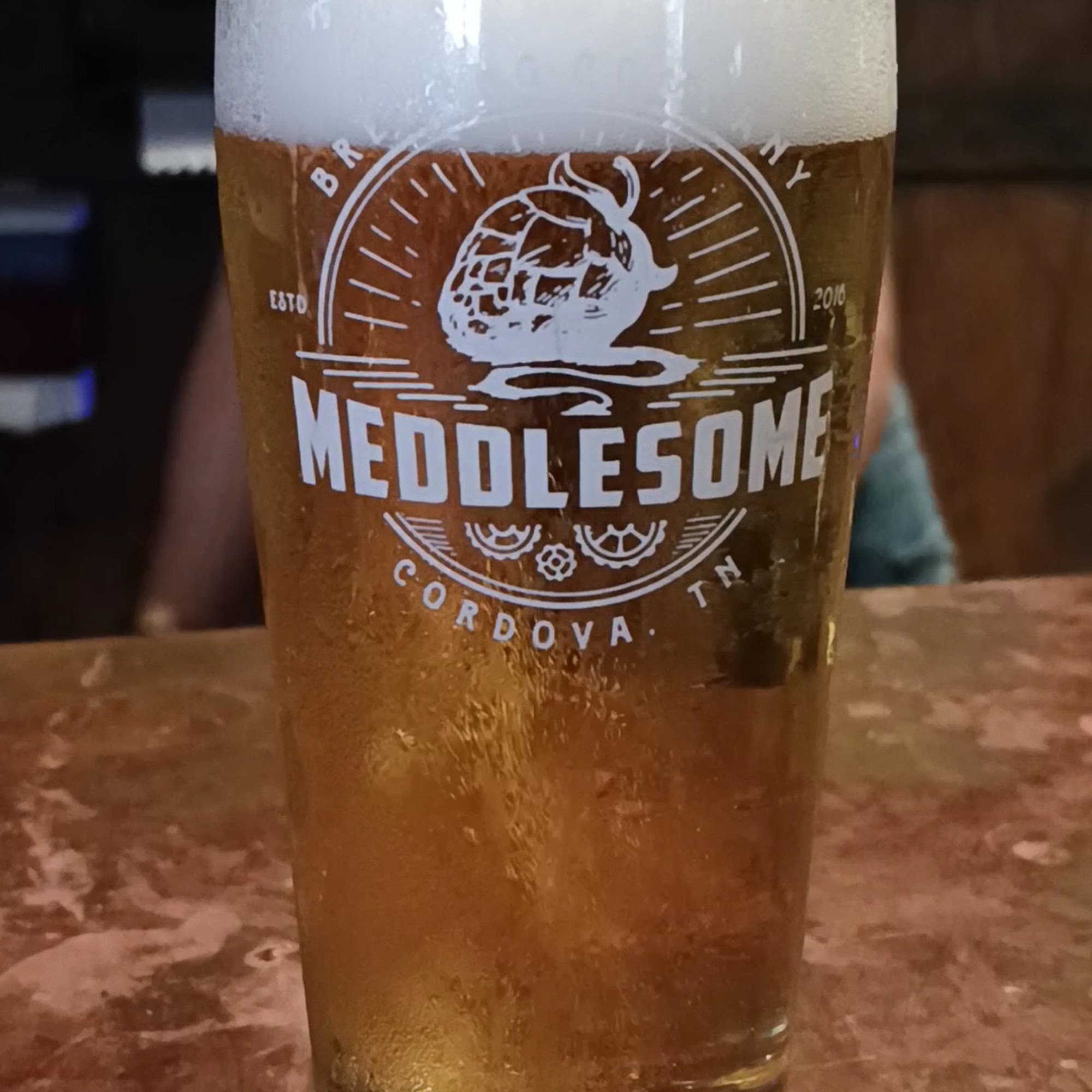 Meddlesome Brewing Company Cordova