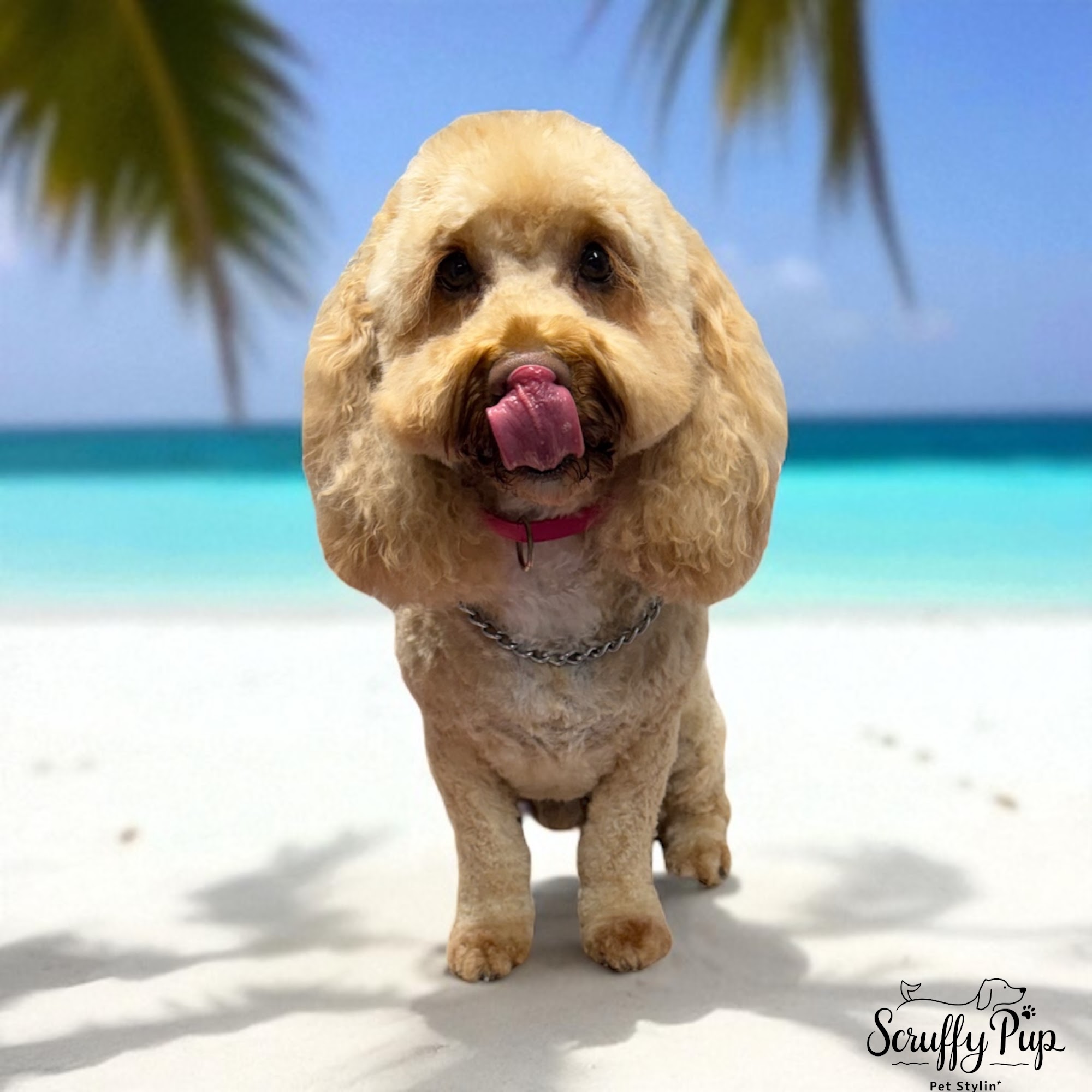 Scruffy Pup Pet Stylin'