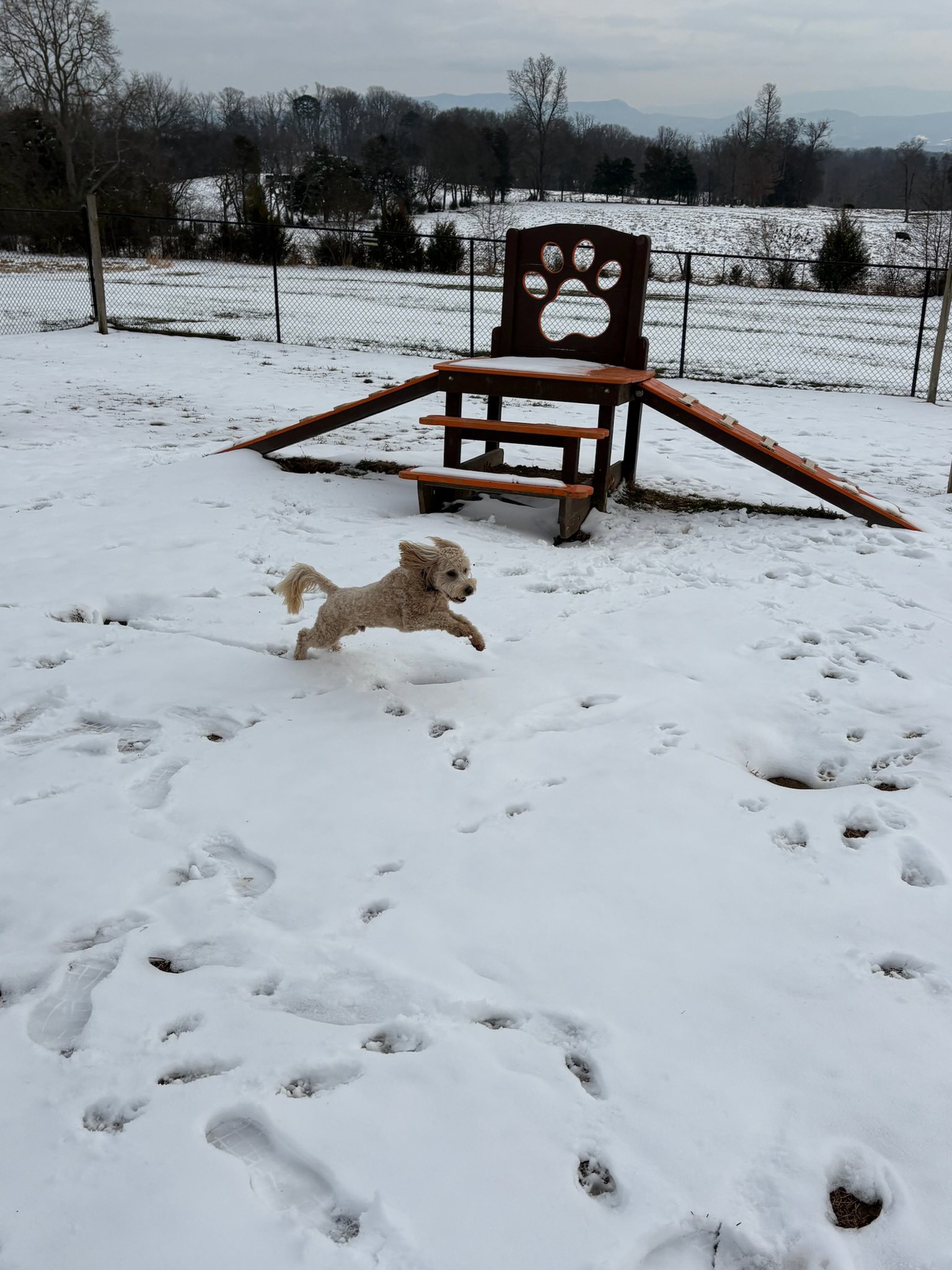 Dog Haven Lodge Dandridge