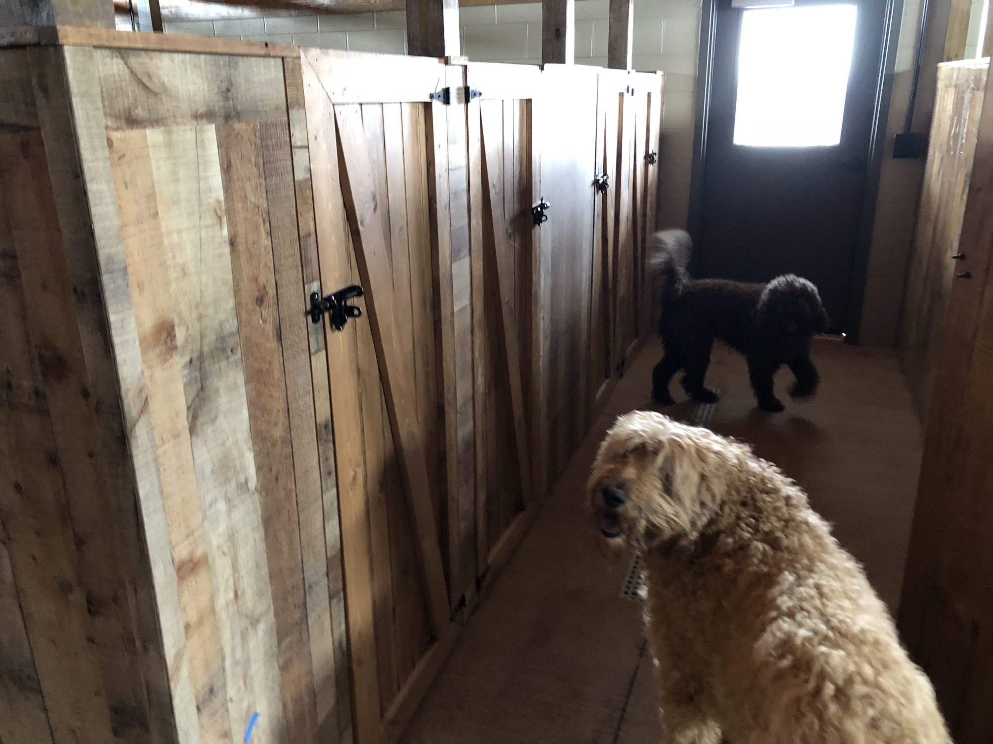 Dog Haven Lodge Dandridge