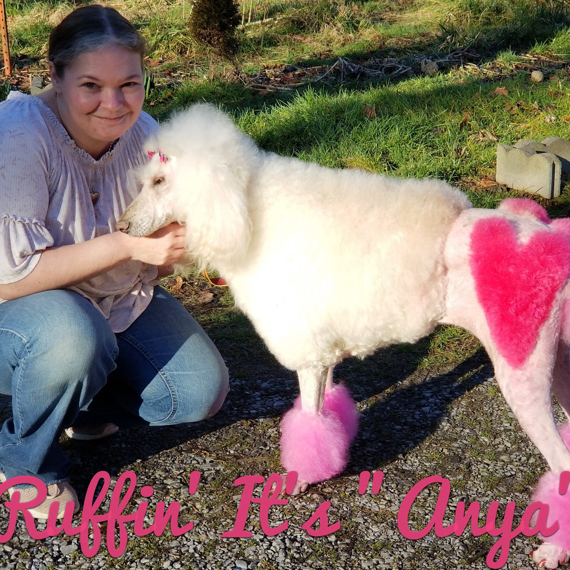 Ruffin' It Grooming Dayton