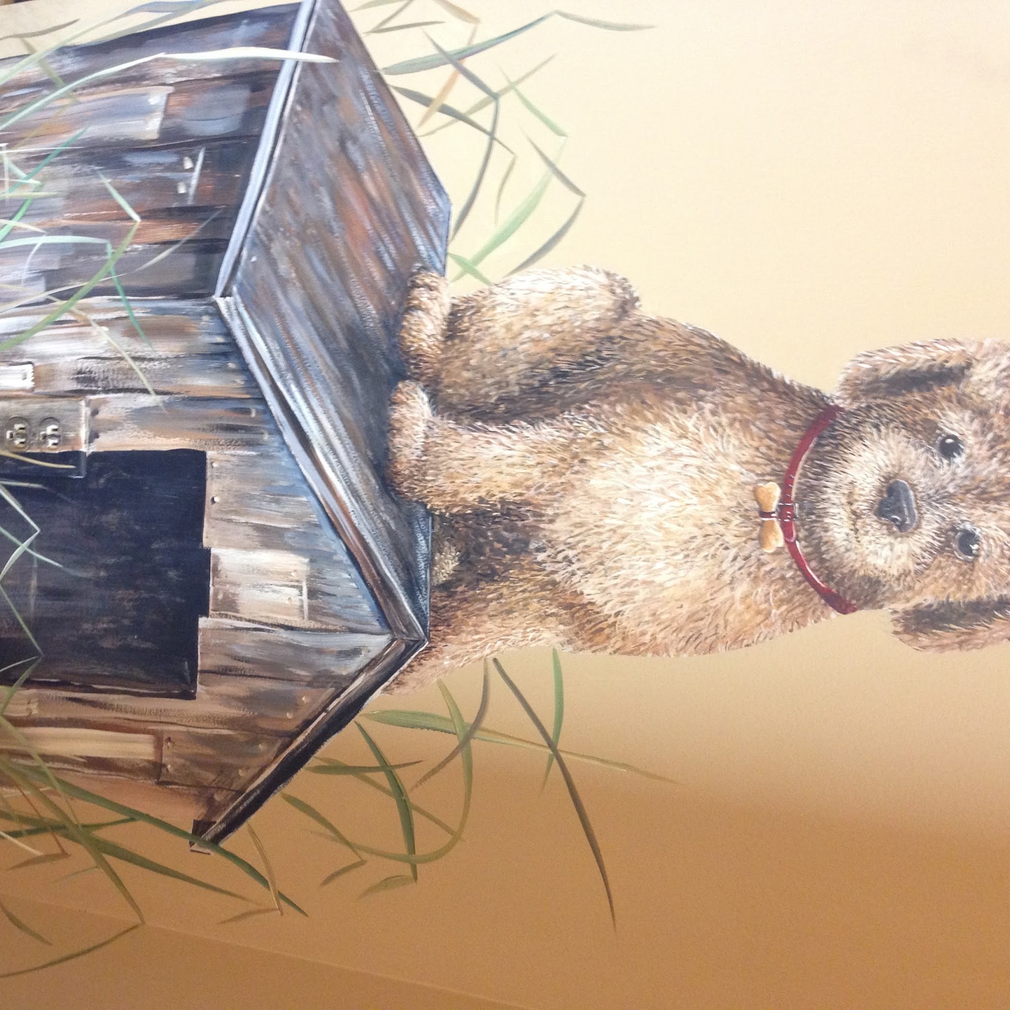 Dyer County Animal Hospital Dyersburg