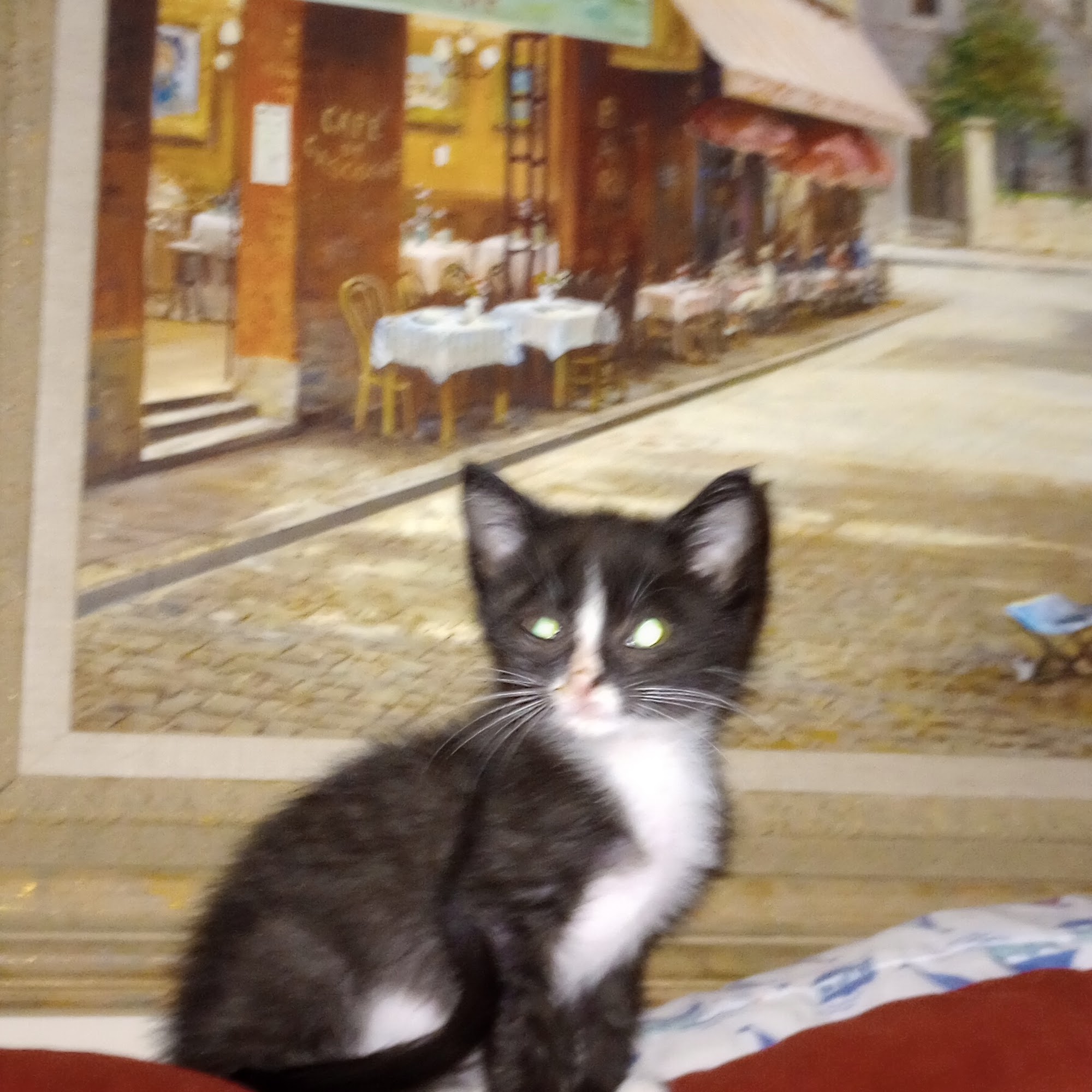 Dr. William T. Dickerson Dyersburg