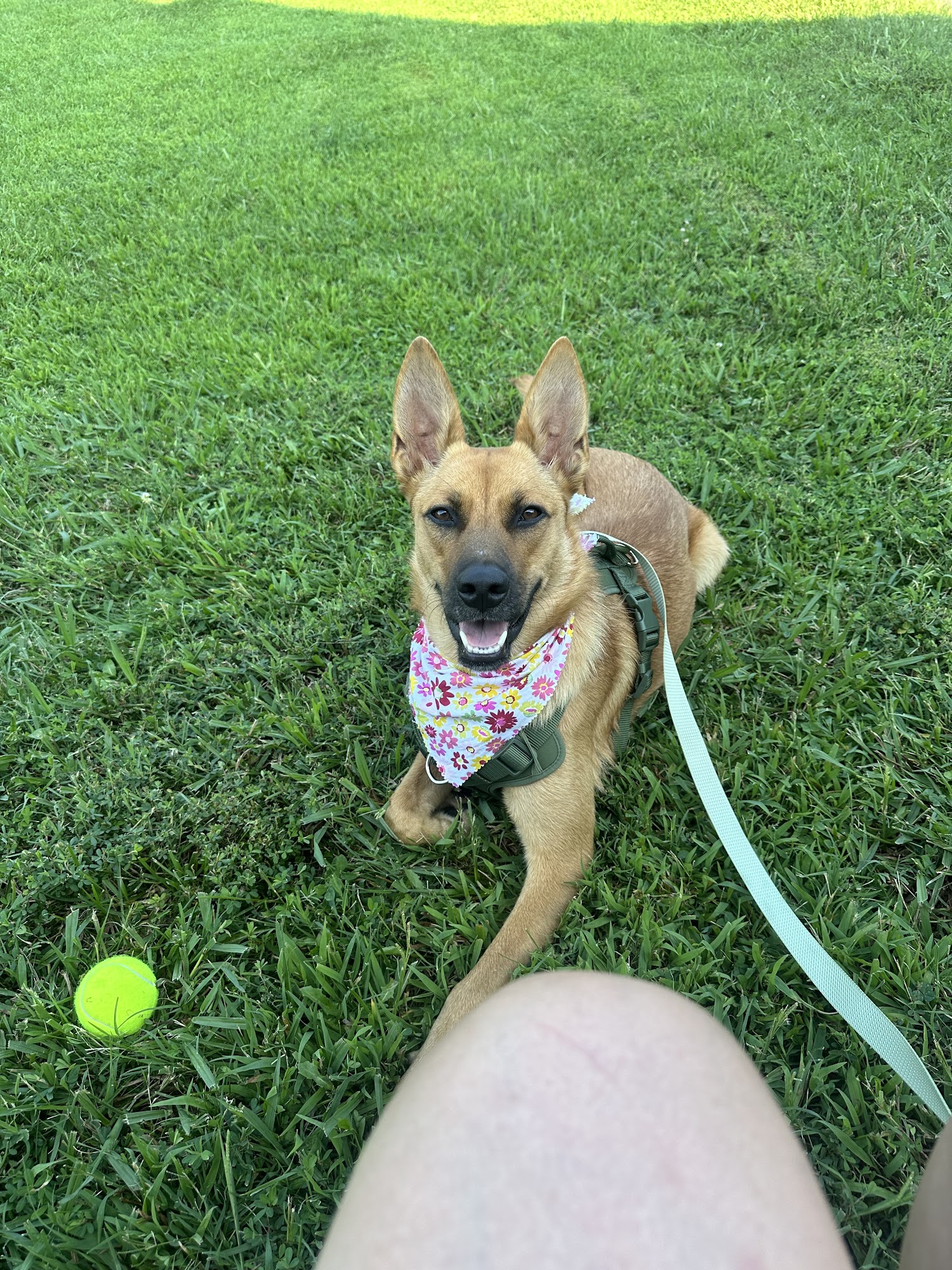 Elizabethton-Carter County Animal Shelter Elizabethton