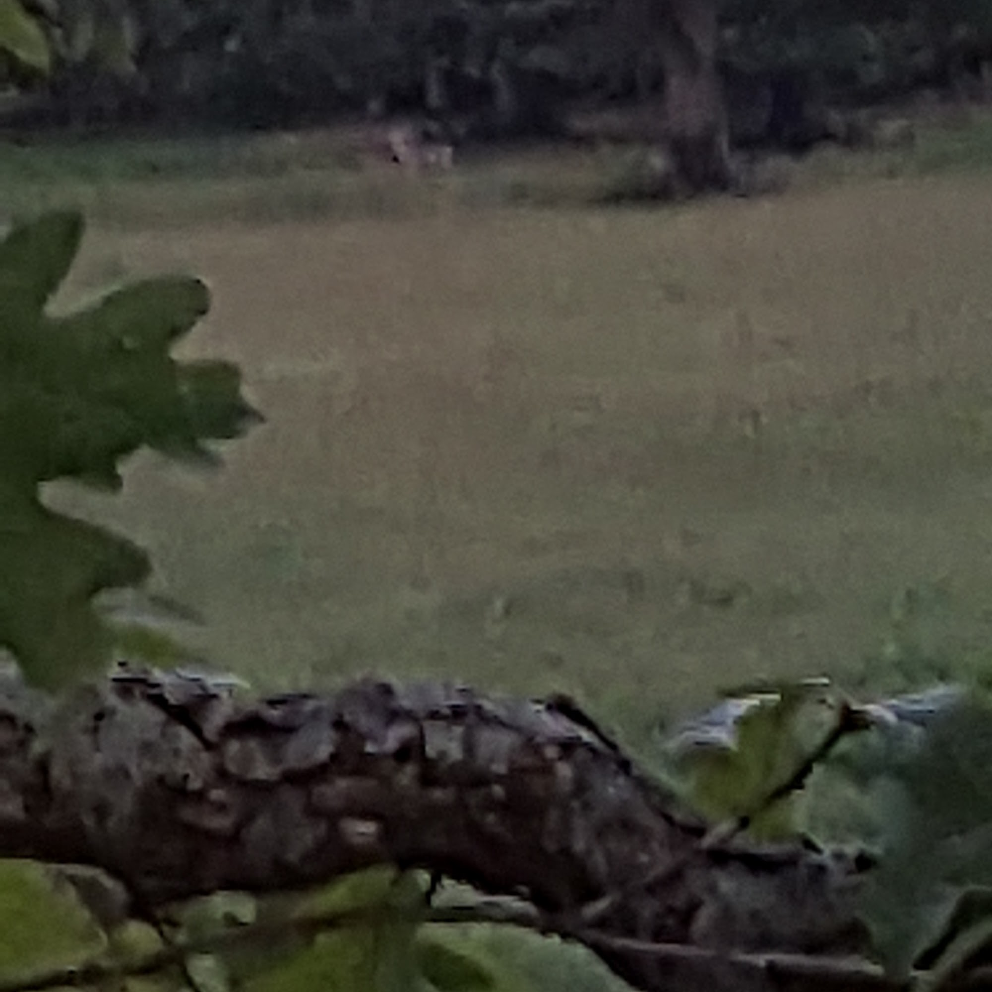 Wolaver Heating & Cooling