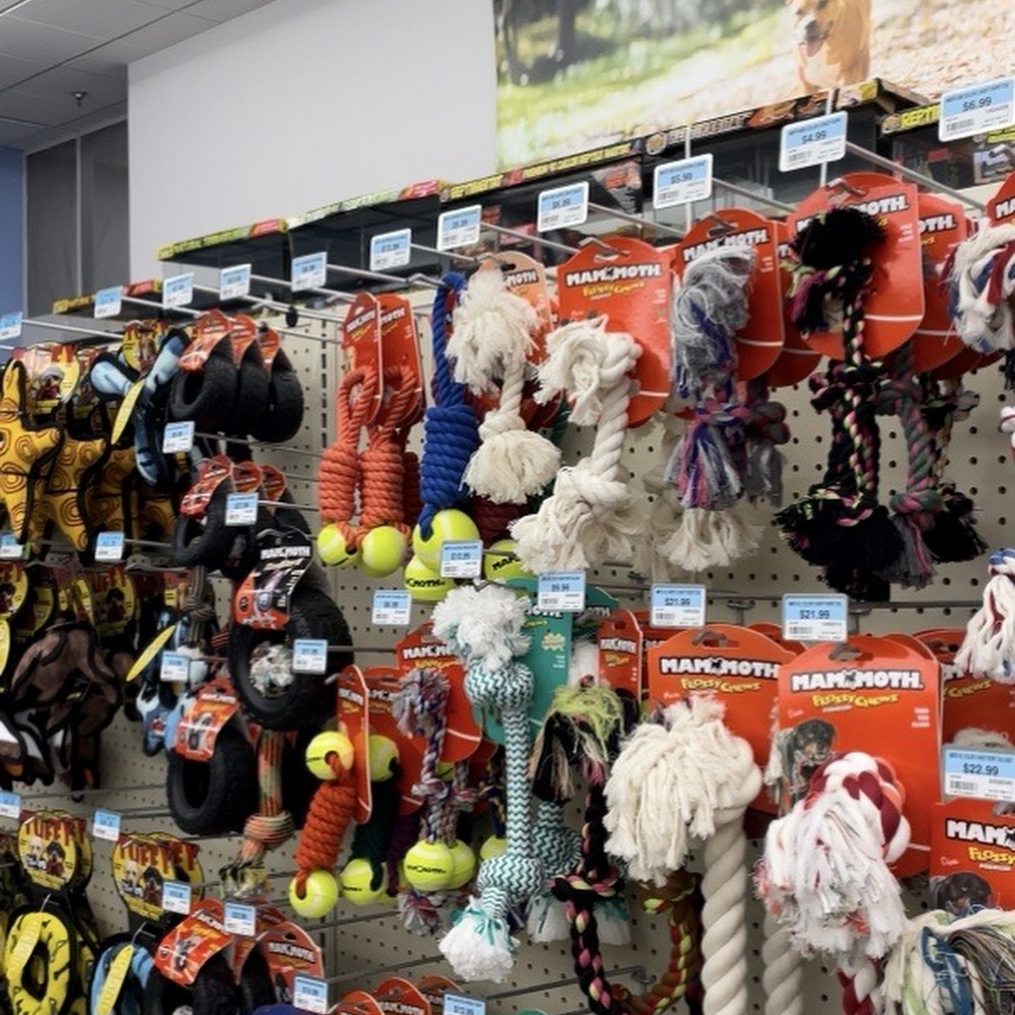 Petsense by Tractor Supply Franklin