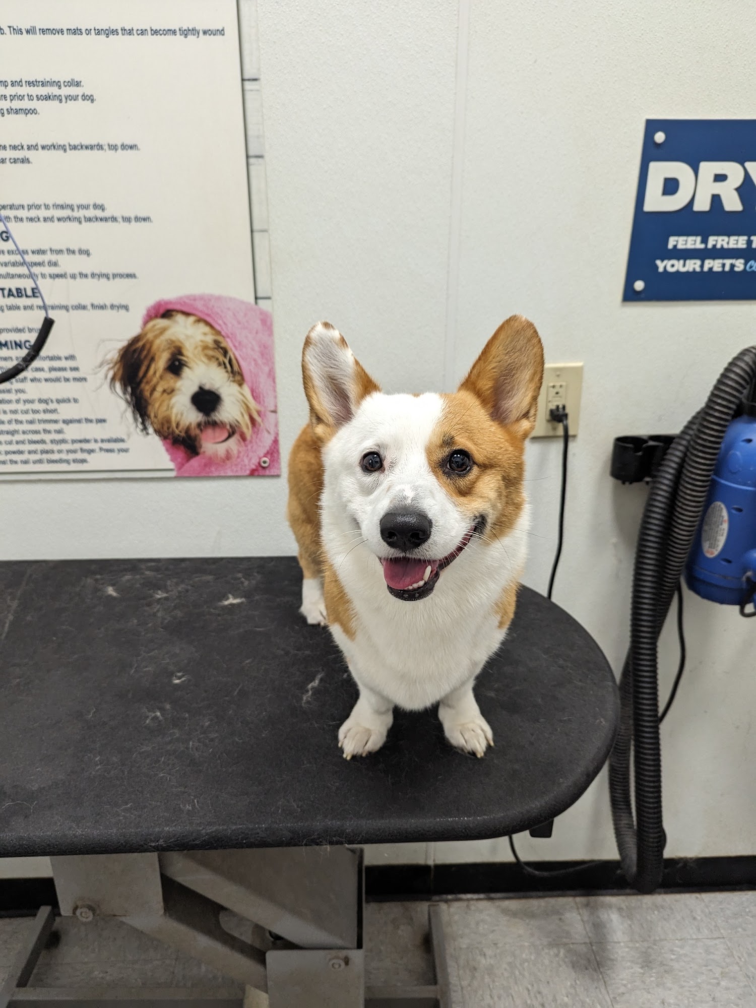 Petsense by Tractor Supply Franklin