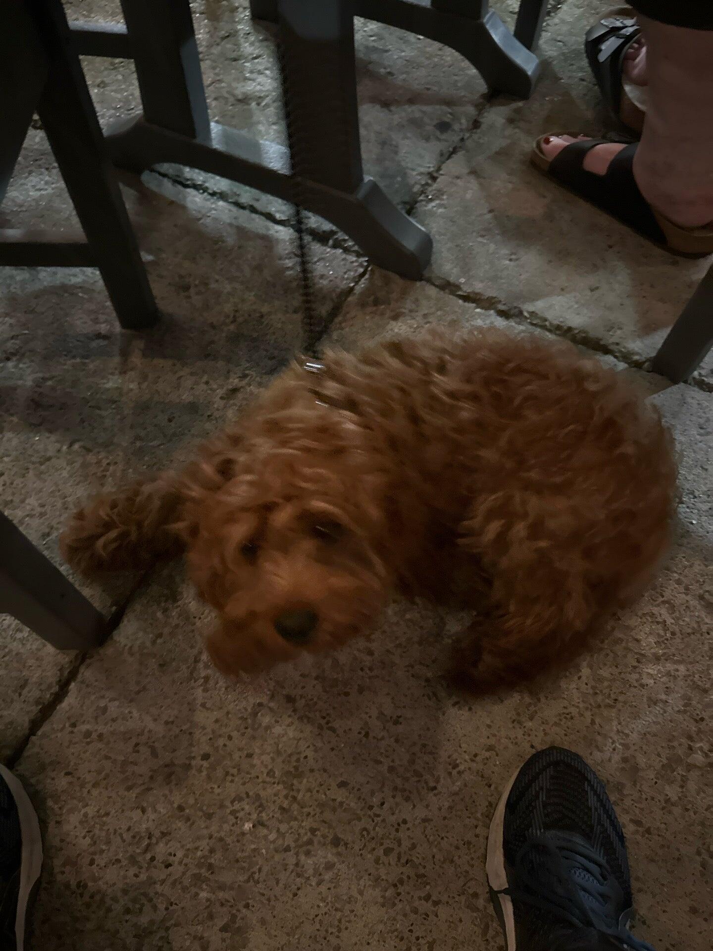 Brixx Wood Fired Pizza + Craft Bar Franklin