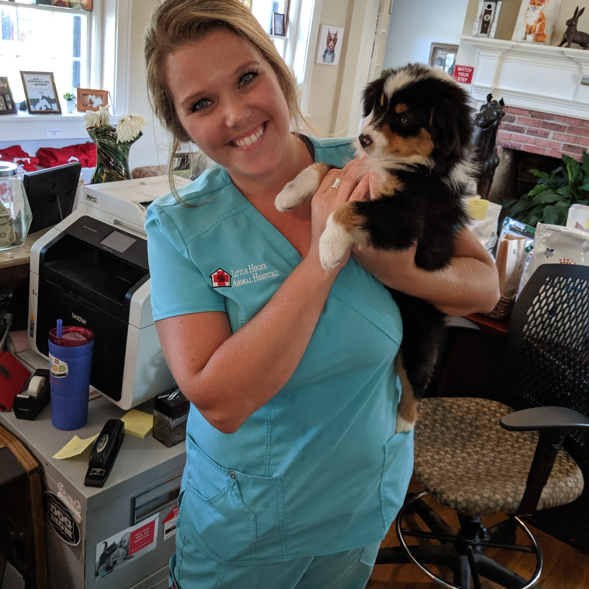 Little House Animal Hospital Franklin