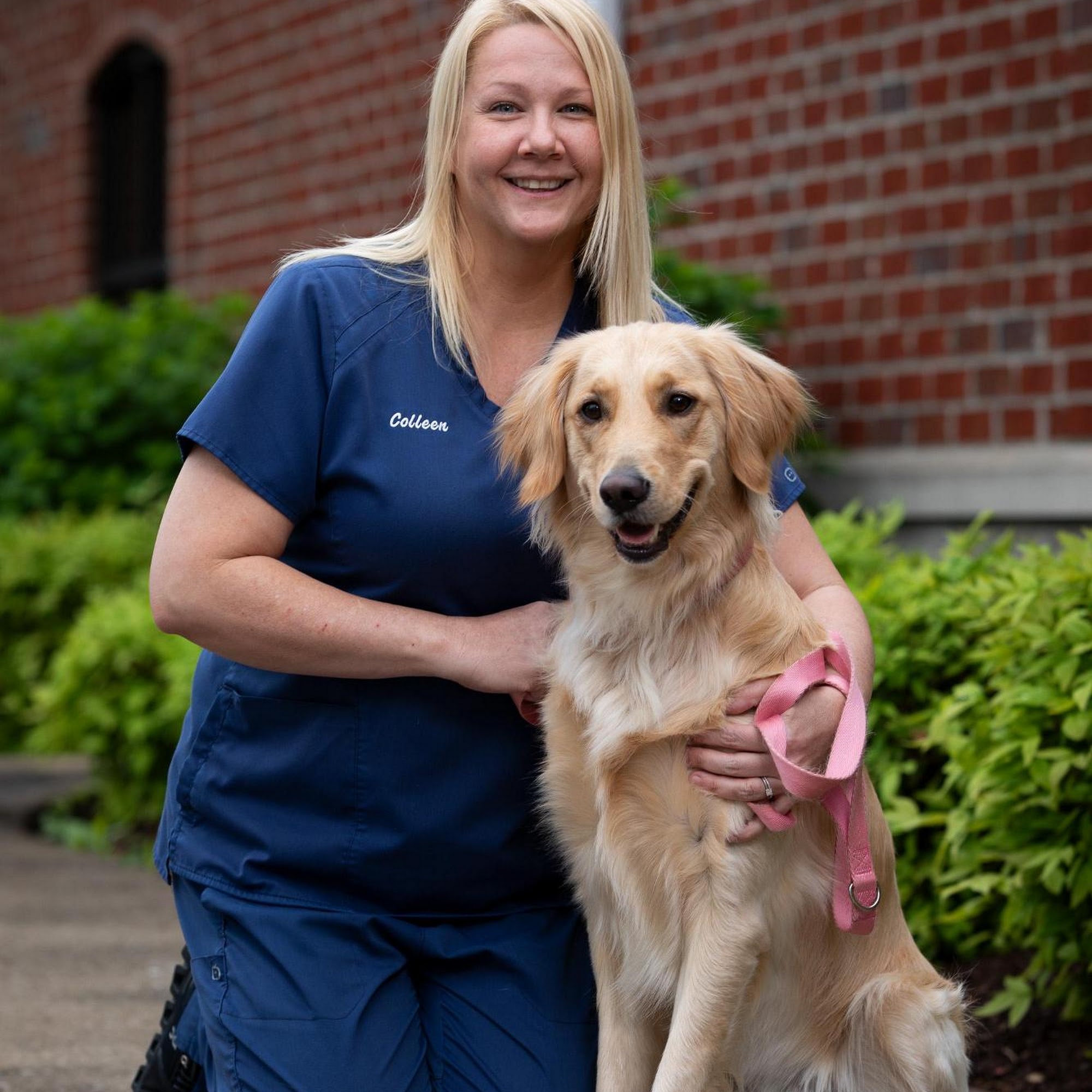 Battleground Hospital for Animals Franklin