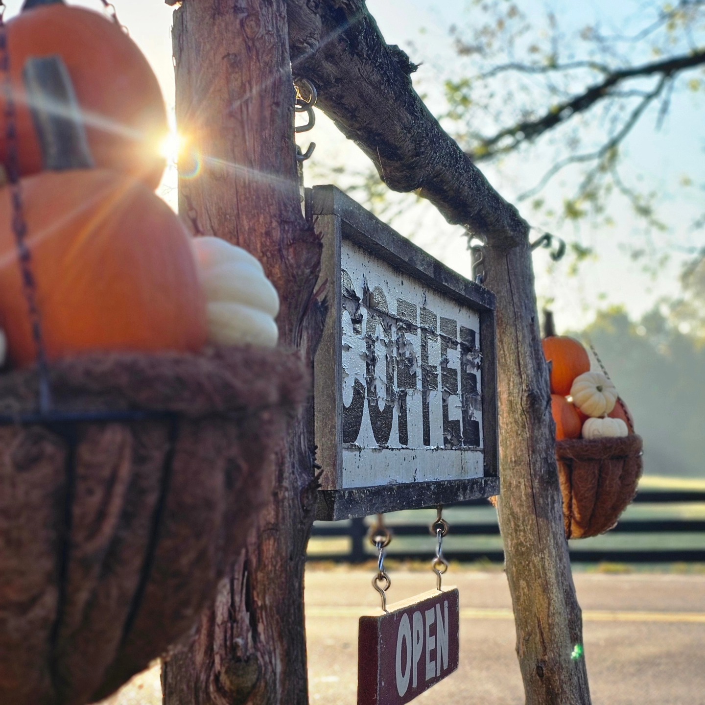 The RedByrd Coffee Shop Franklin