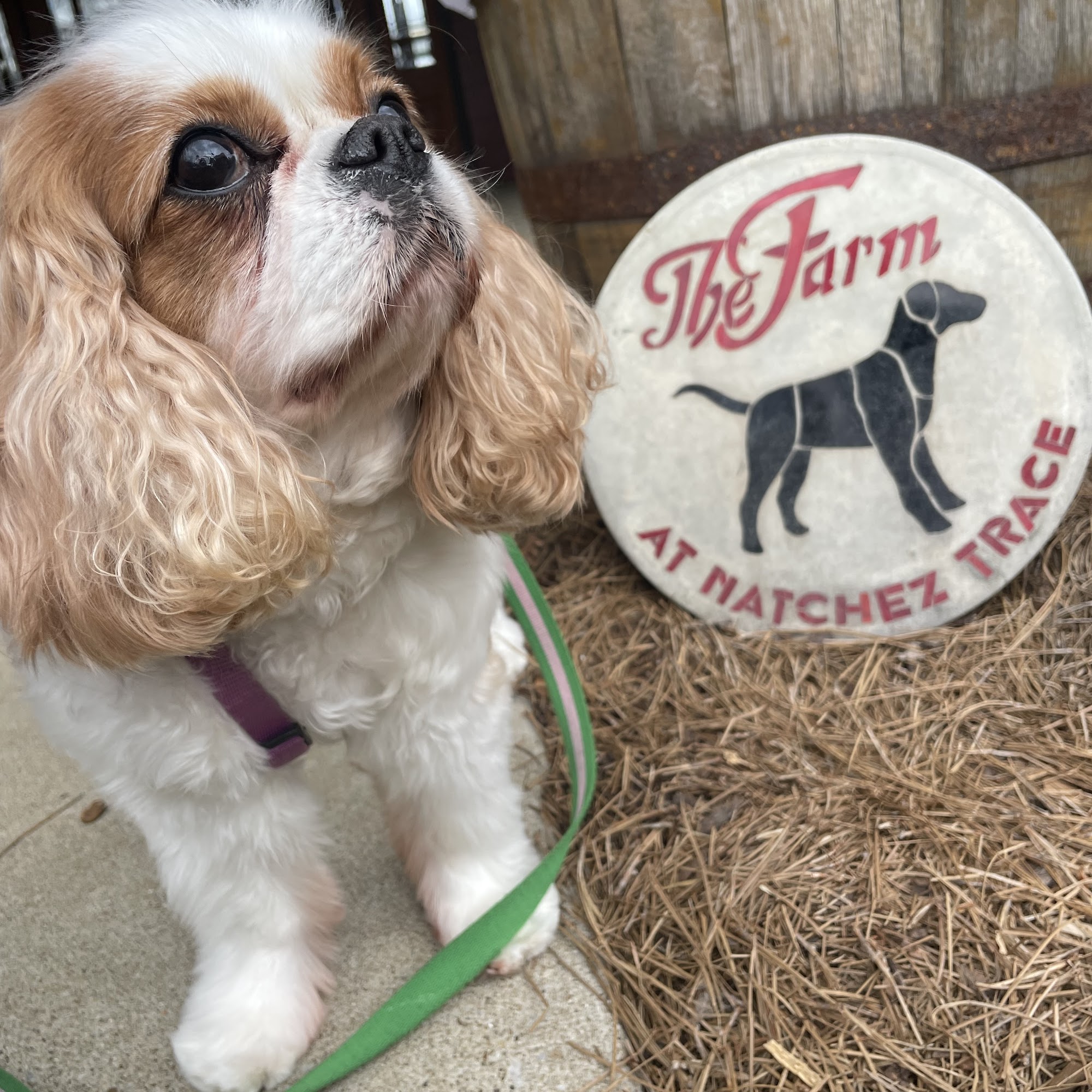 The Farm At Natchez Trace Franklin
