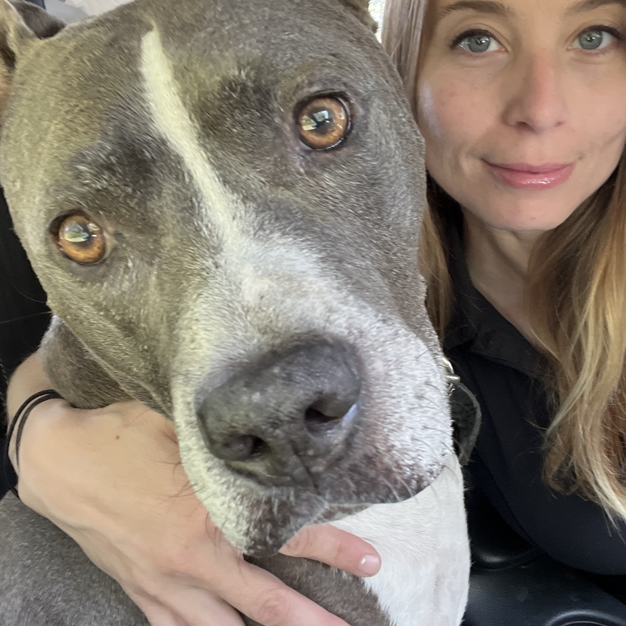 Franklin Therapeutic Massage 2187 Hillsboro Rd Suite 400, Franklin Tennessee 37069