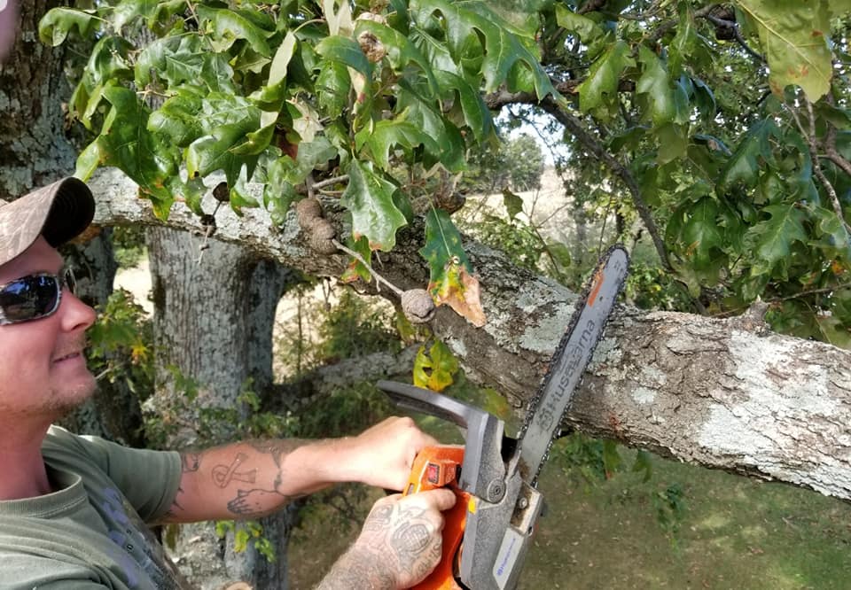 Kelly's tree service