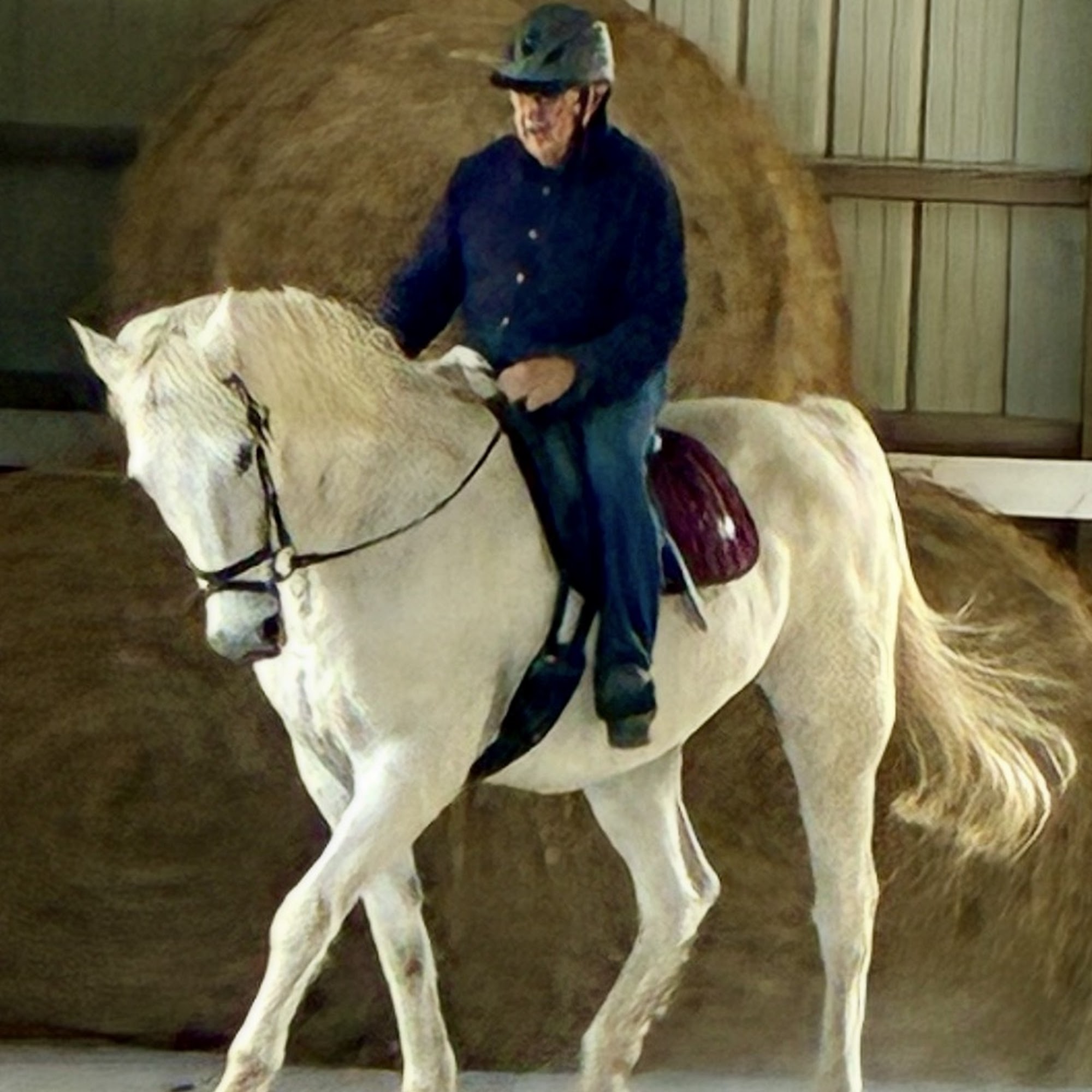 Tennessee Equine Hospital North Gallatin