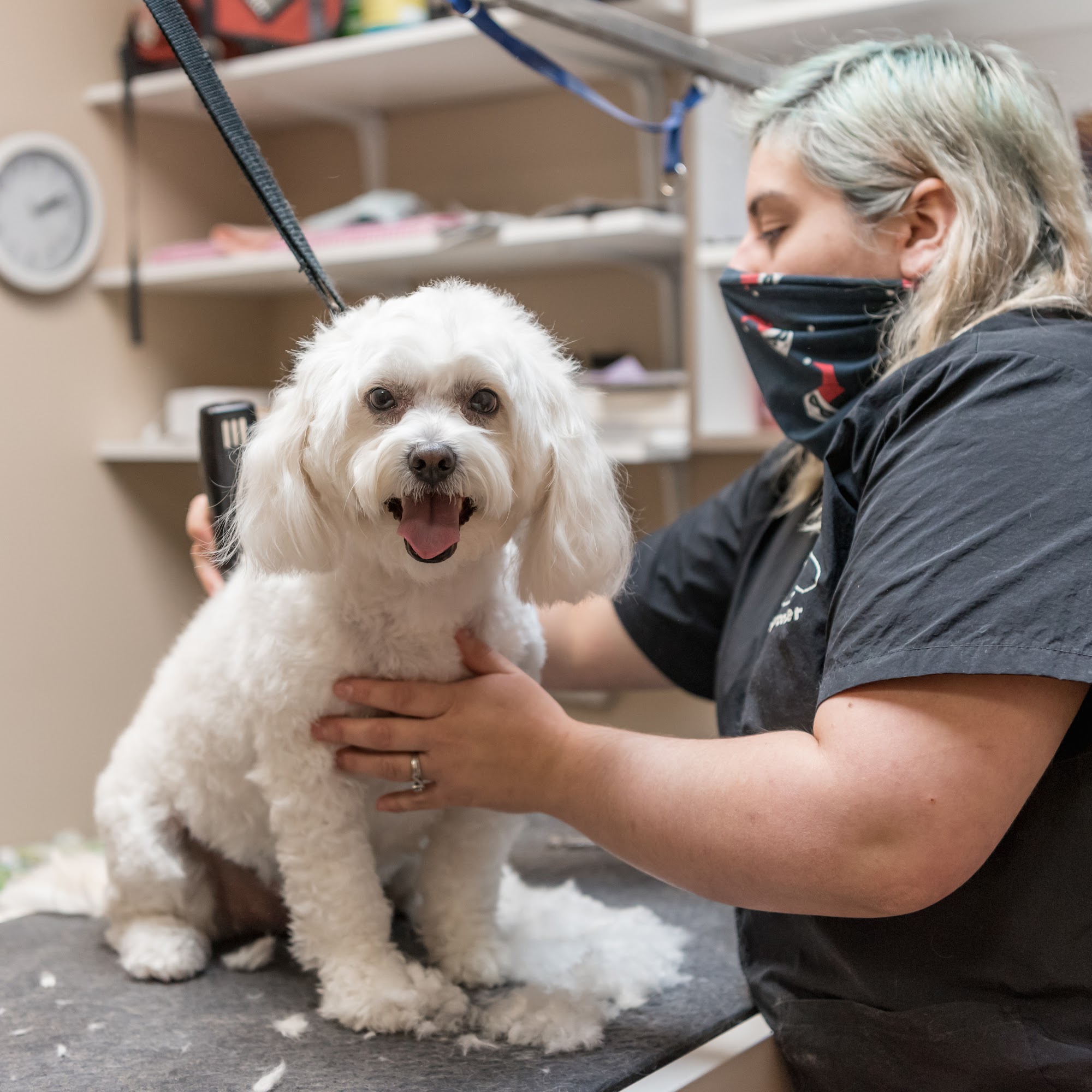 The Pet Hospitals Germantown Germantown