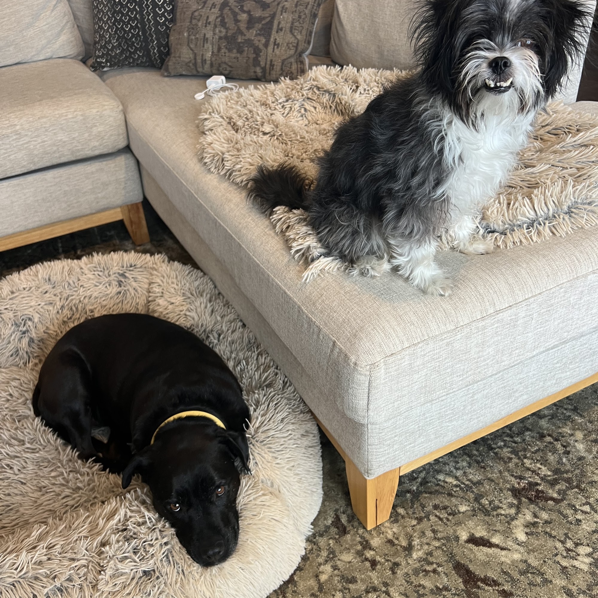 Middle Tennessee Veterinary Center Goodlettsville