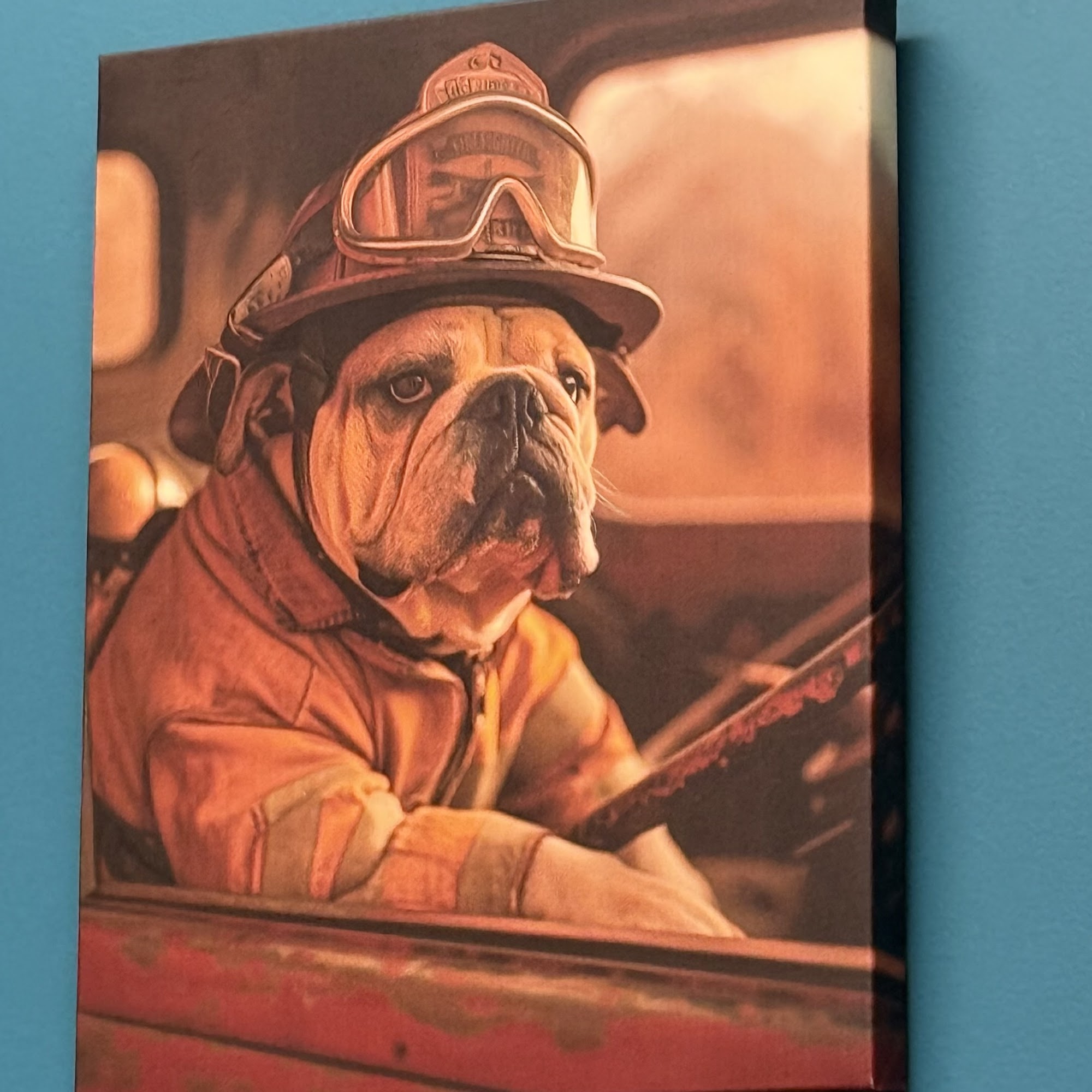 Animal Medical Center of Greeneville Greeneville