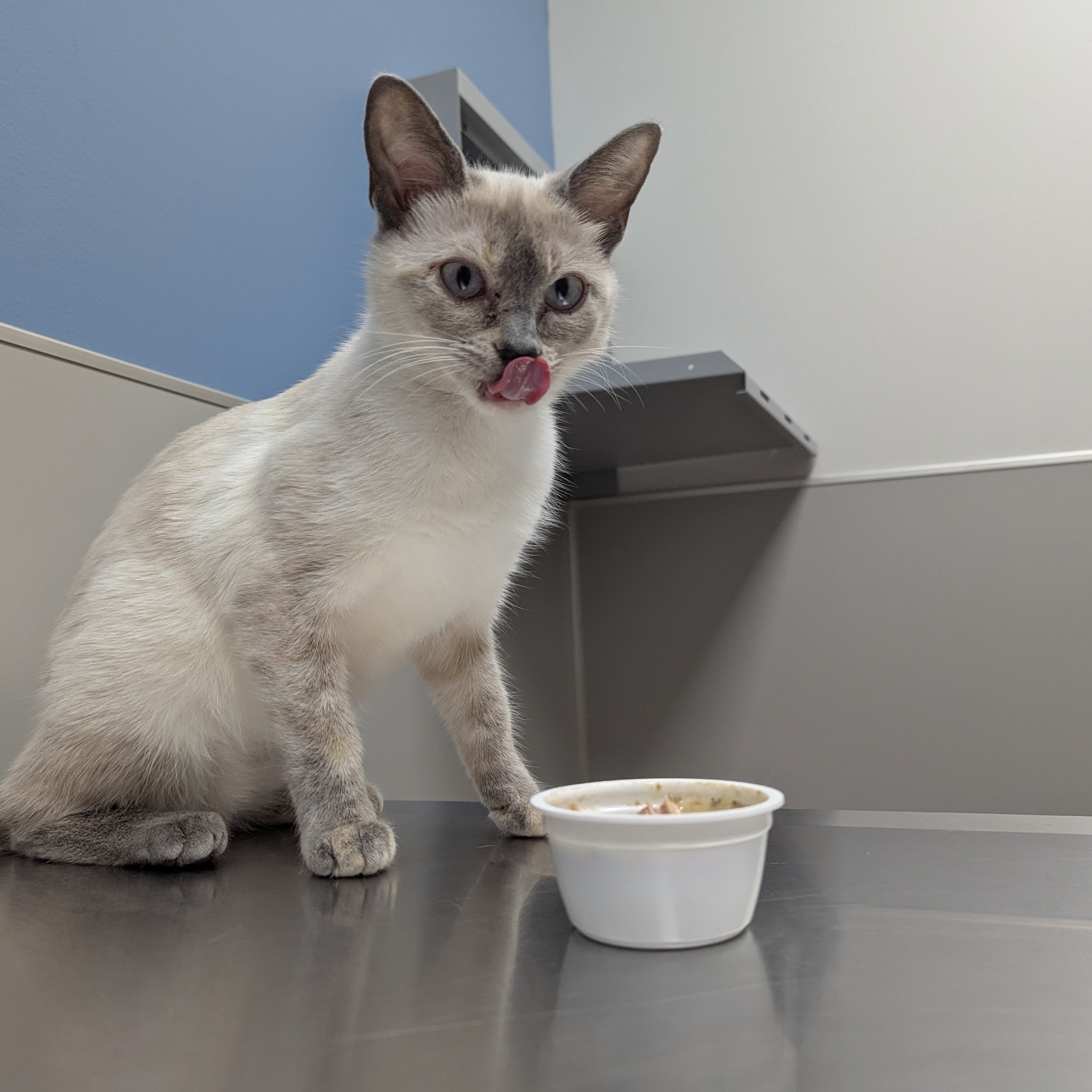 East Tennessee Veterinary Hospital Greeneville