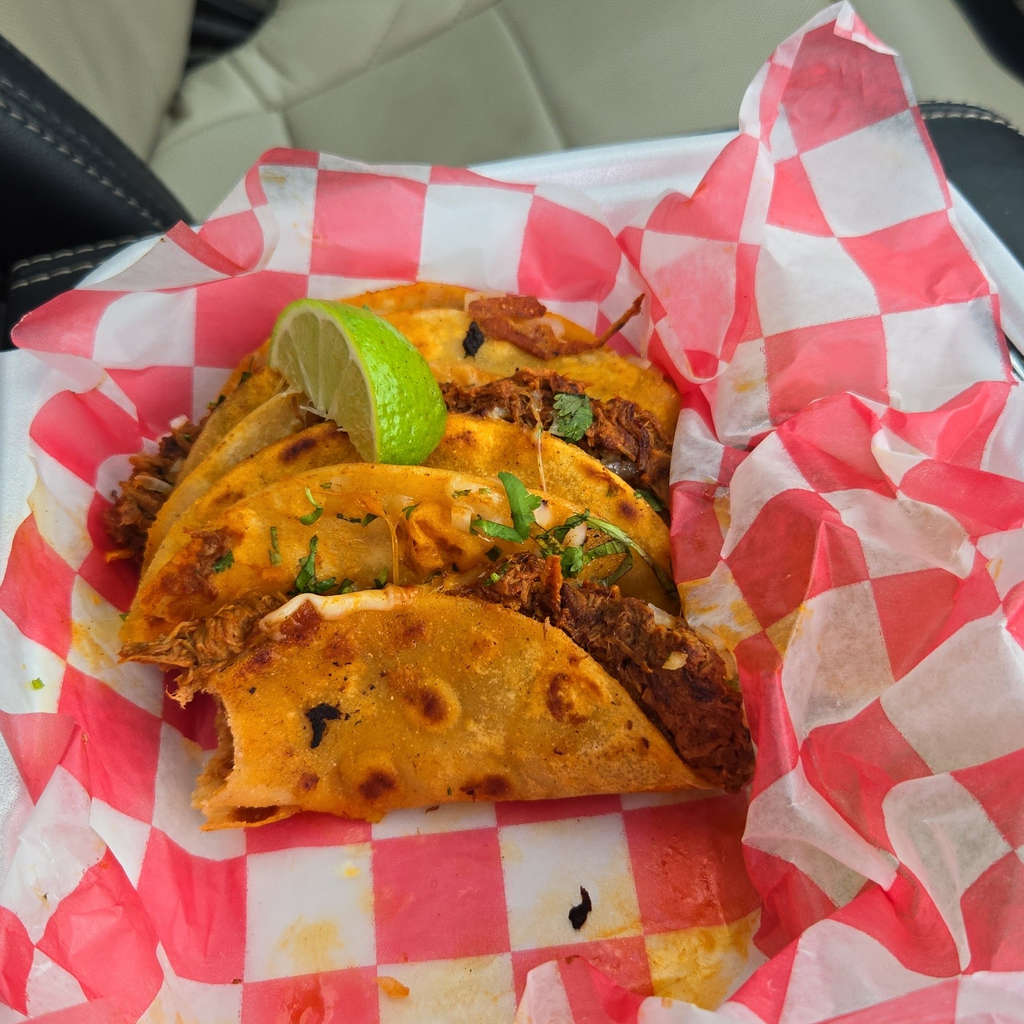 El Pelón lunch 1800 Roane State Hwy, Harriman