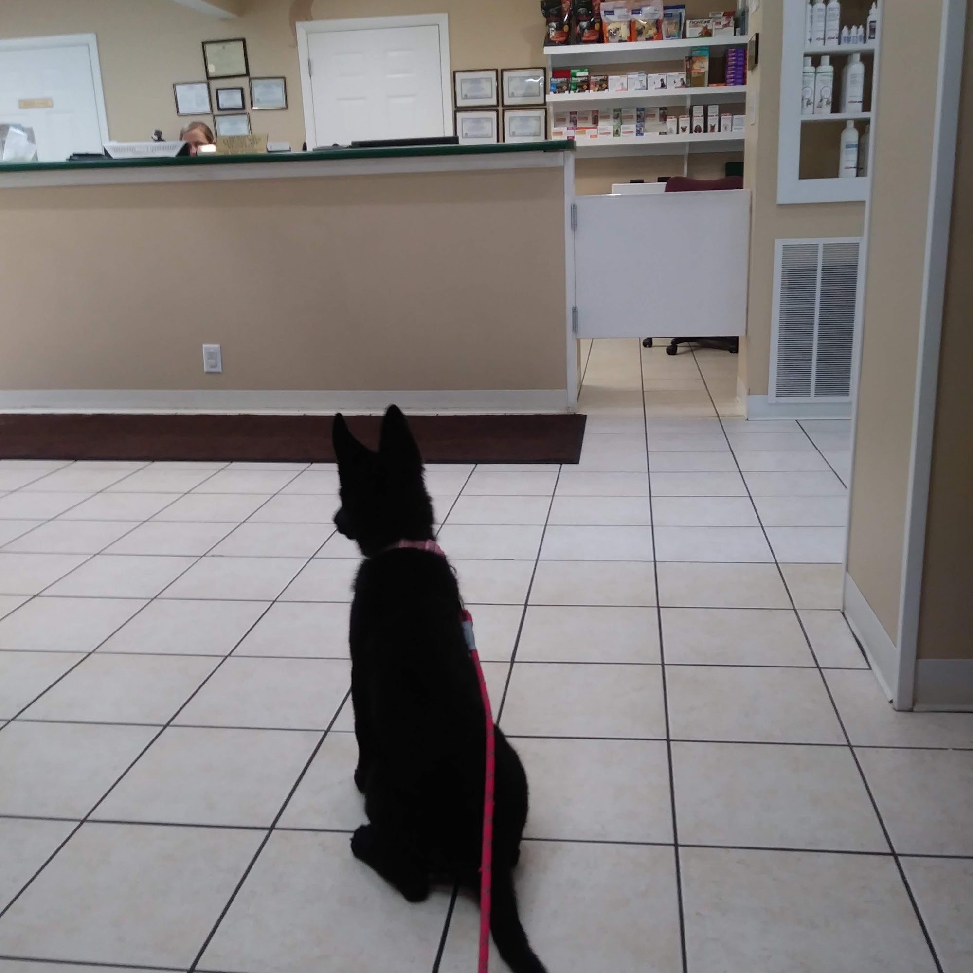 New Shackle Island Veterinary Hospital Hendersonville