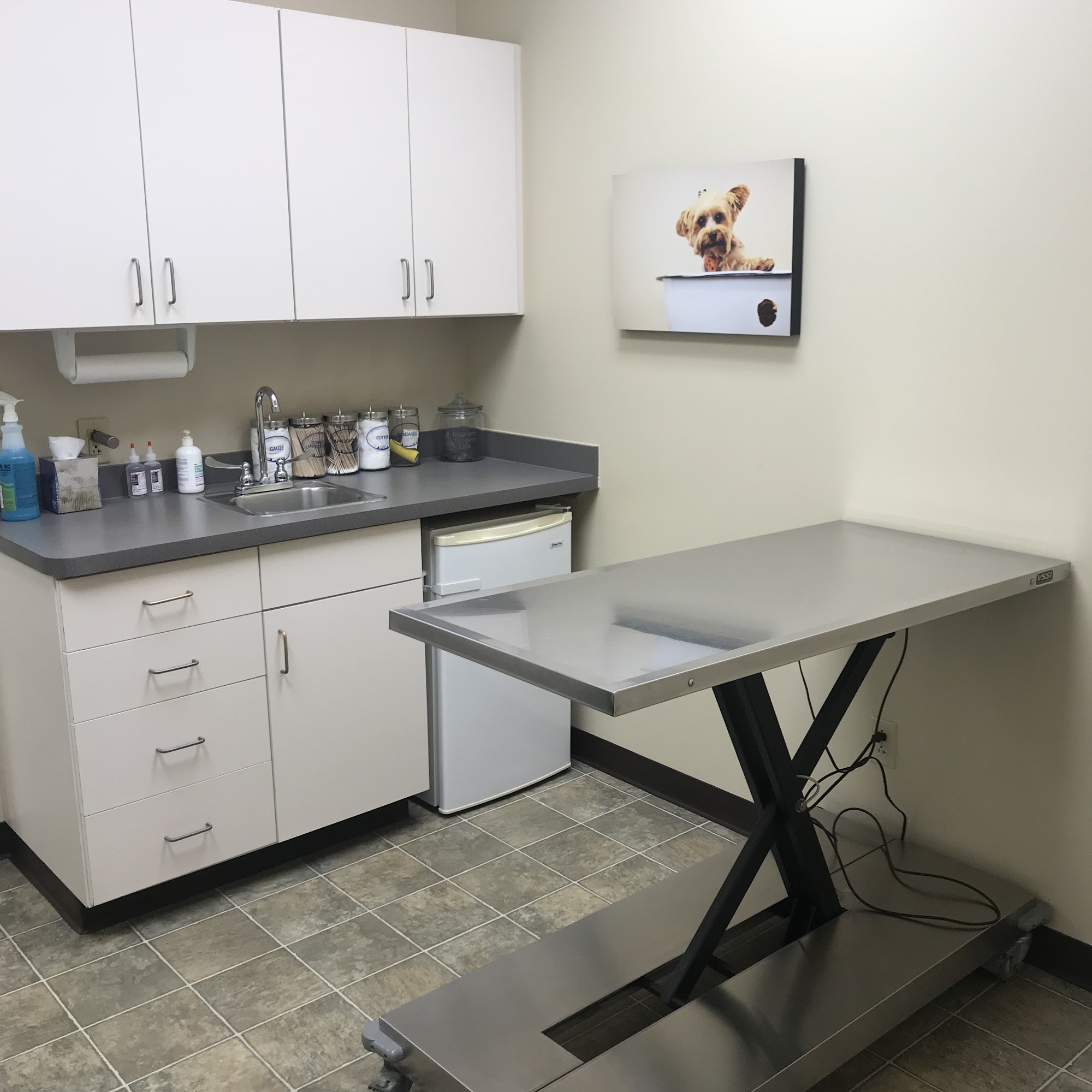 Hendersonville Animal Hospital Hendersonville