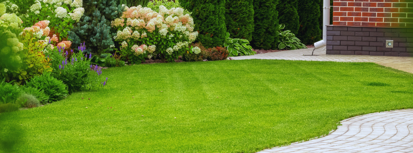Lawn Ranger