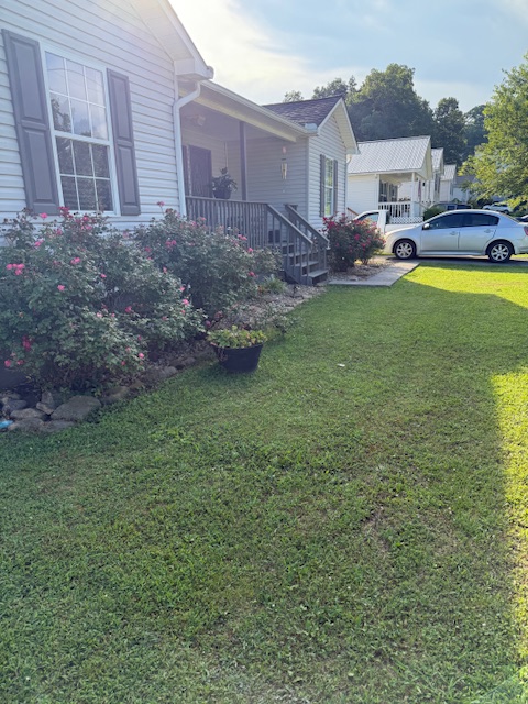 McDowell Real Estate